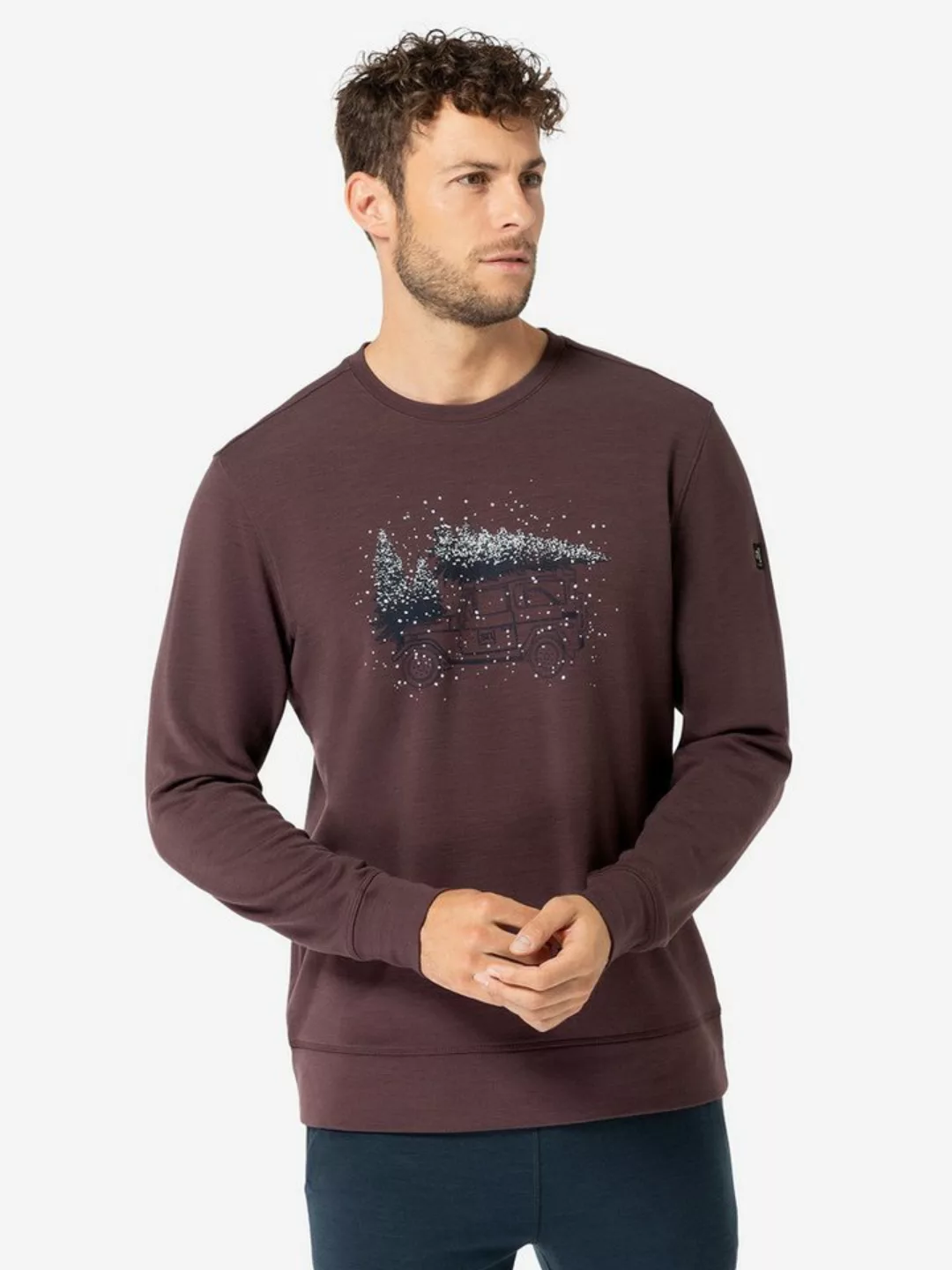 SUPER.NATURAL Sweatshirt für Herren, Merino LANTREE Winter Motiv, atmungsak günstig online kaufen