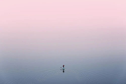 Papermoon Fototapete »Ente im Wasser« günstig online kaufen