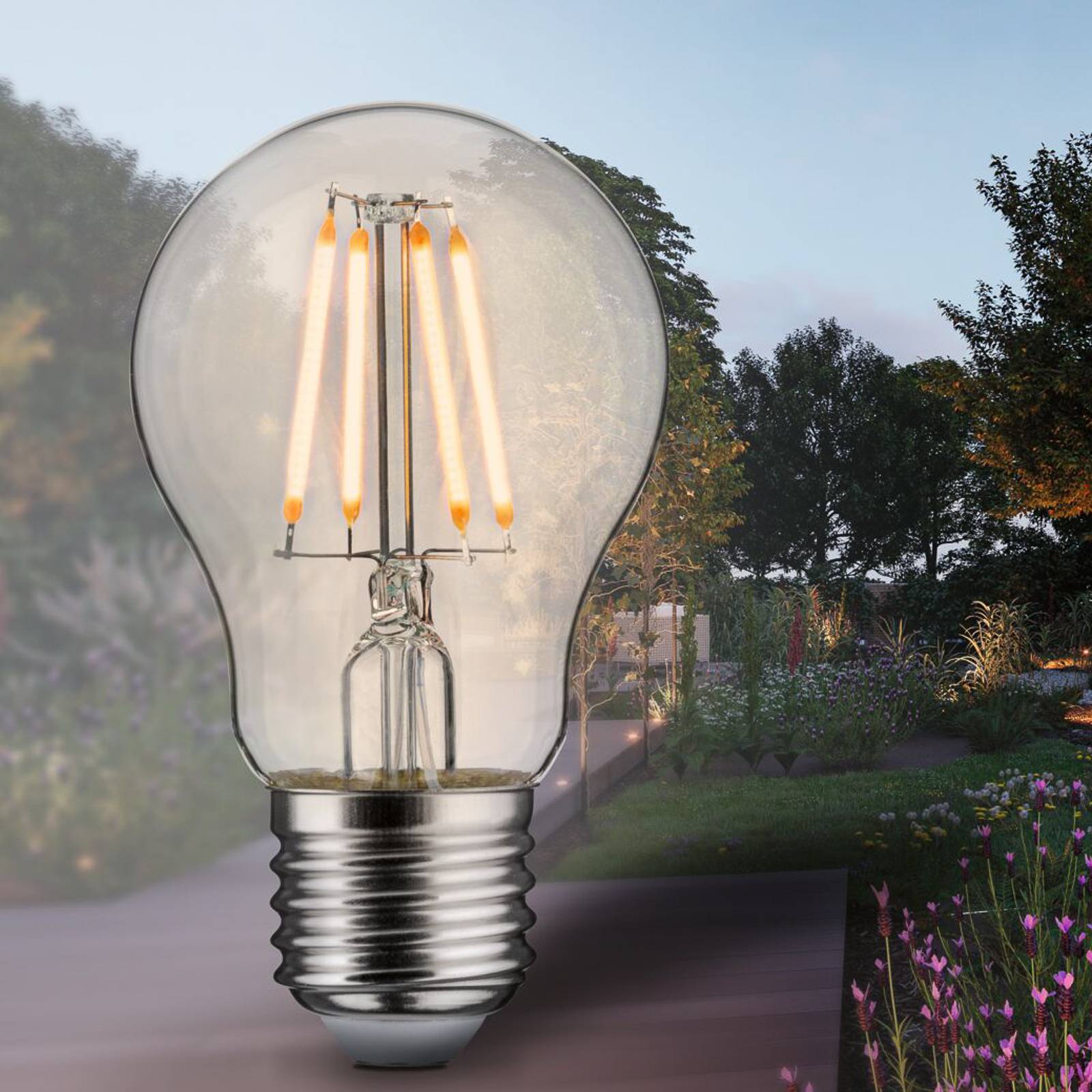 Paulmann LED-Lampe Filament E27 4W 2.200 K günstig online kaufen