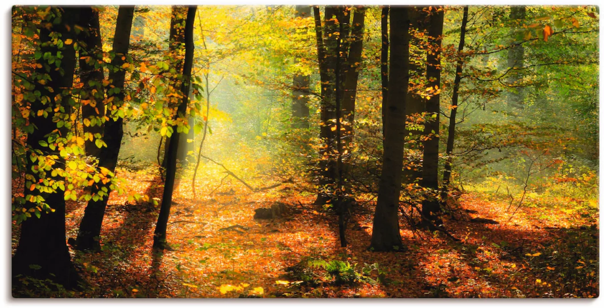 Artland Wandbild "Herbstlicht im Wald", Wald, (1 St.), als Leinwandbild, Po günstig online kaufen