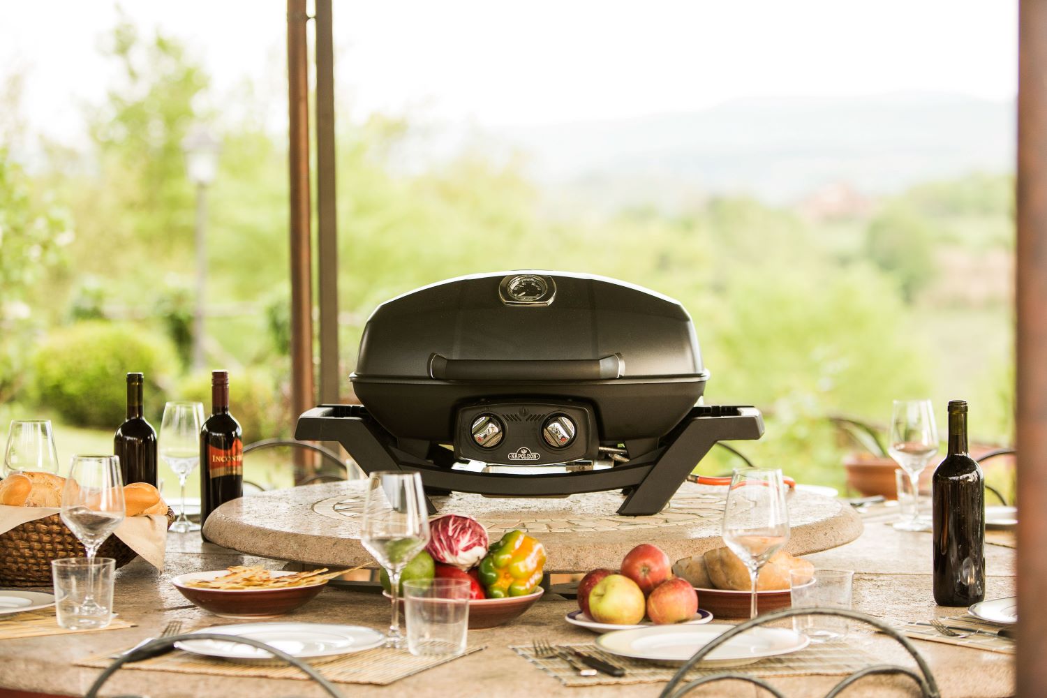 Mobiler Gasgrill TRAVELQ™ PRO285 günstig online kaufen