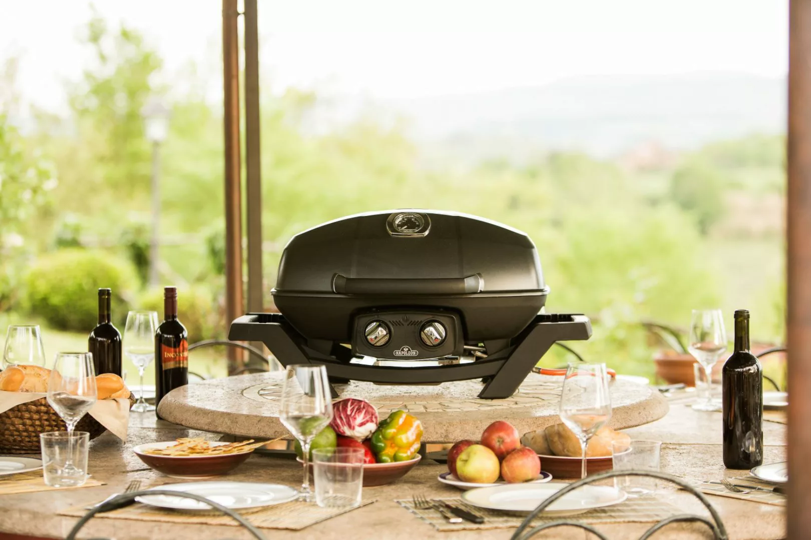 Mobiler Gasgrill TRAVELQ™ PRO285 günstig online kaufen