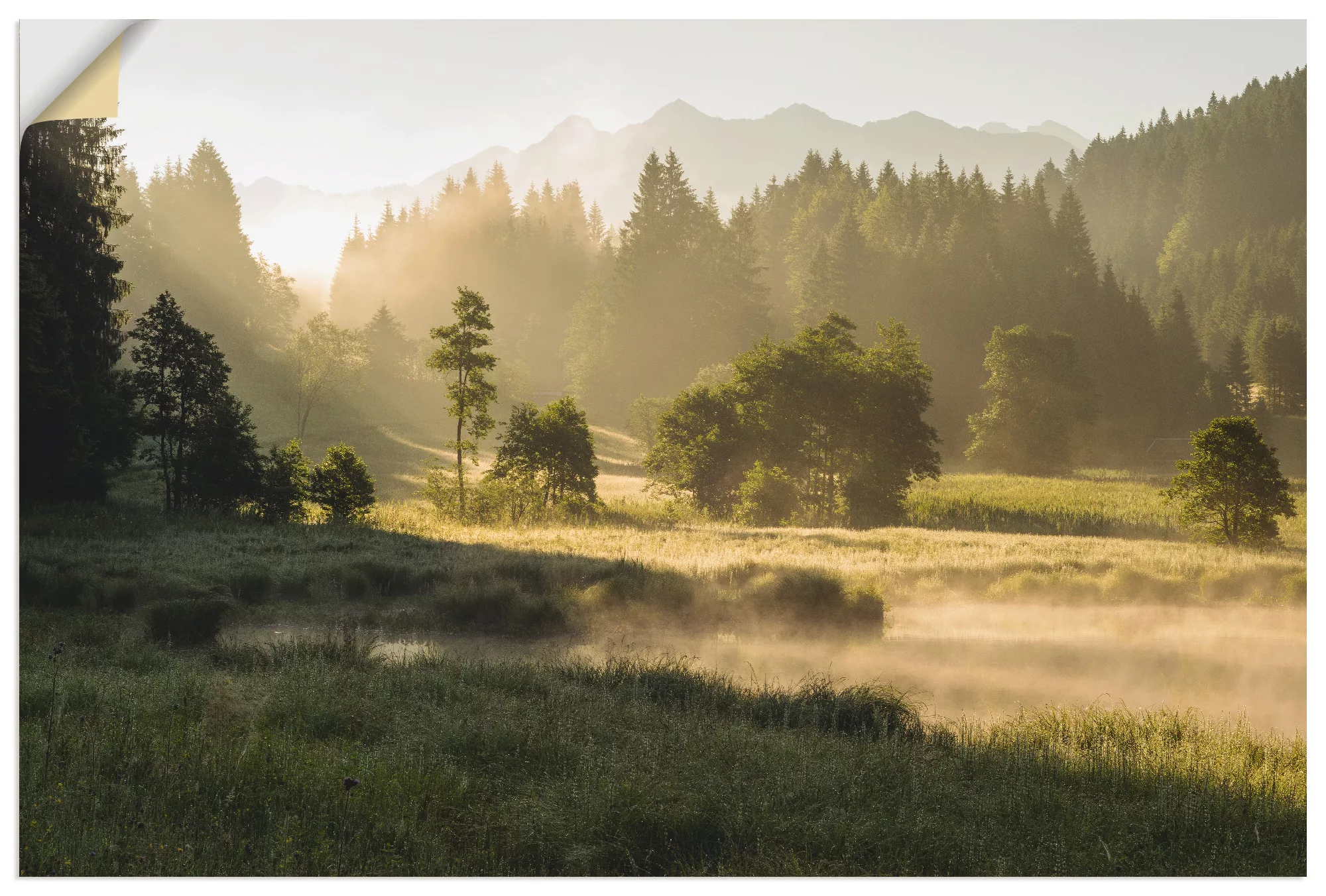 Artland Wandbild "Sommermorgen in den Alpen", Wiesen & Bäume, (1 St.), als günstig online kaufen