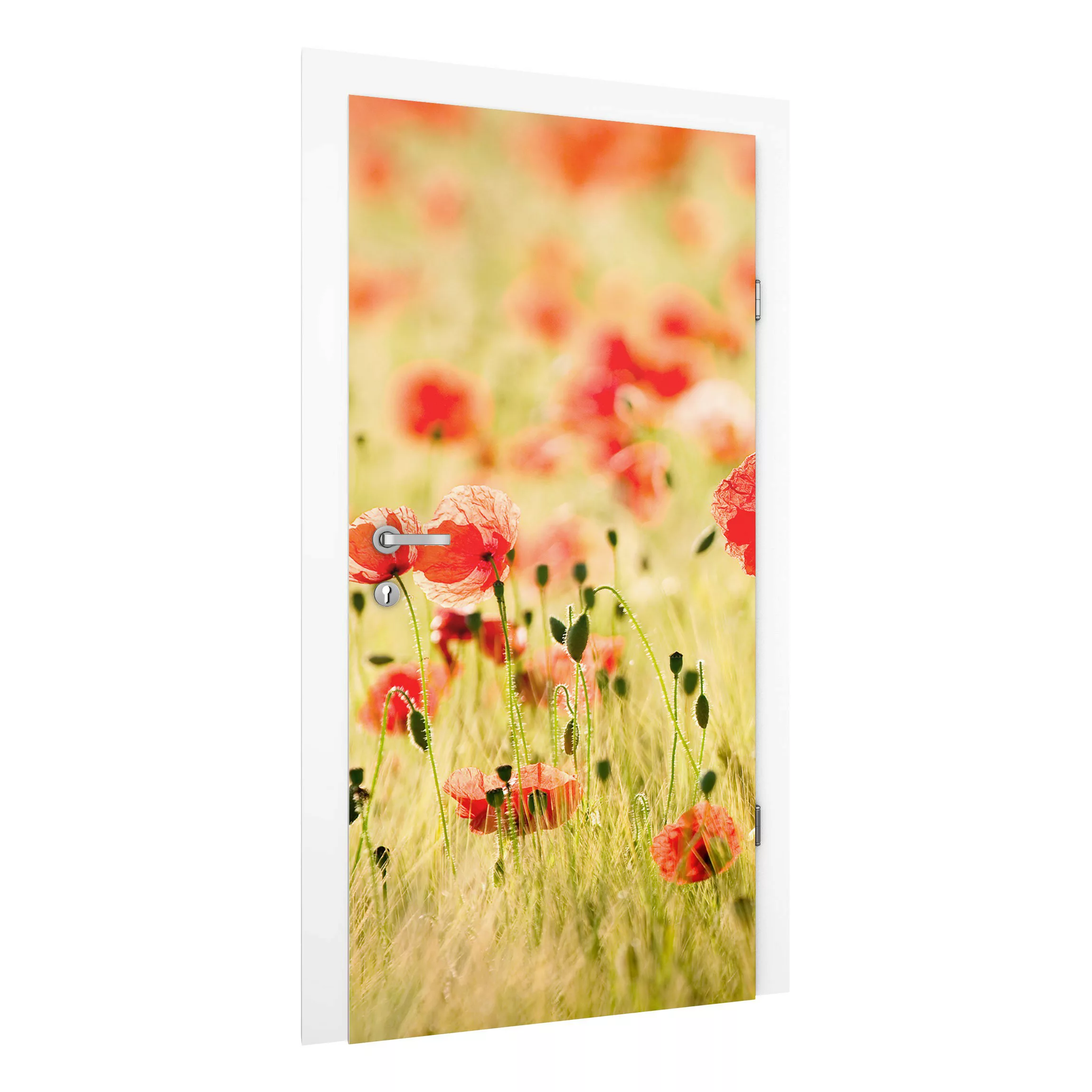 Türtapete Summer Poppies günstig online kaufen