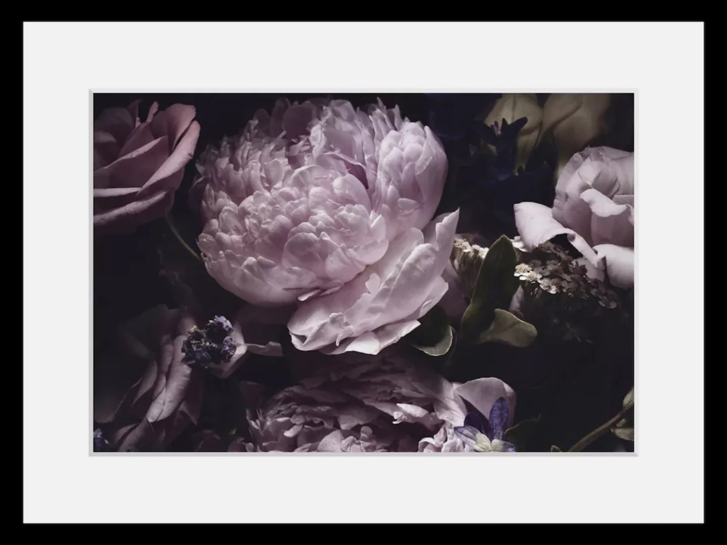 queence Bild "Lila", Blumen, (1 St.) günstig online kaufen