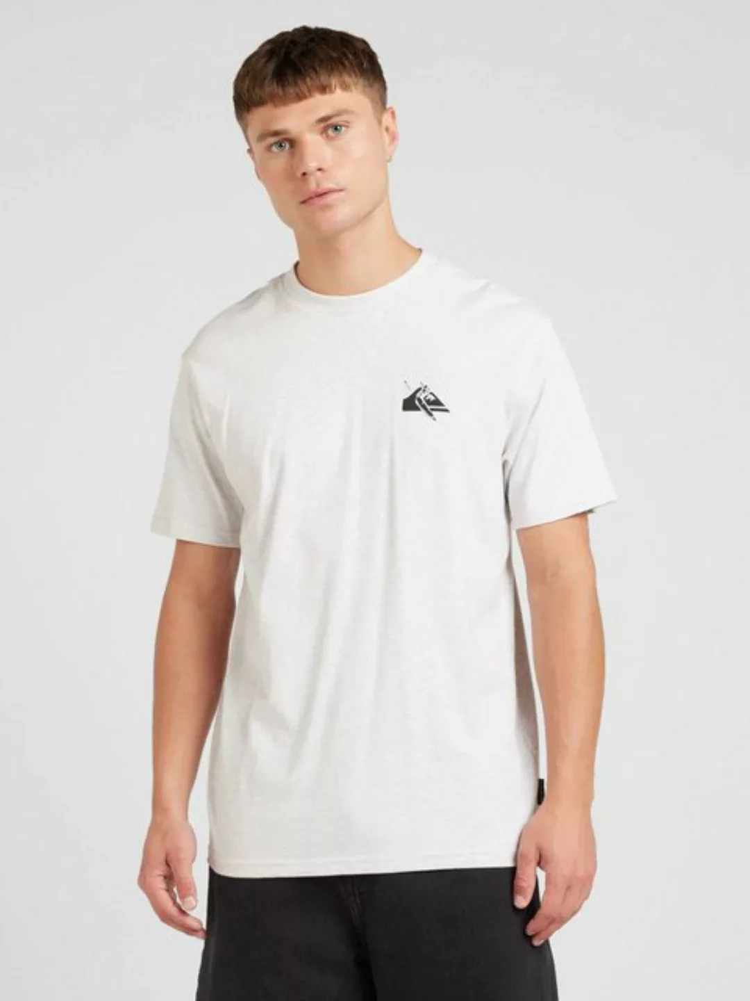 Quiksilver T-Shirt PETROGLYPH (1-tlg) günstig online kaufen