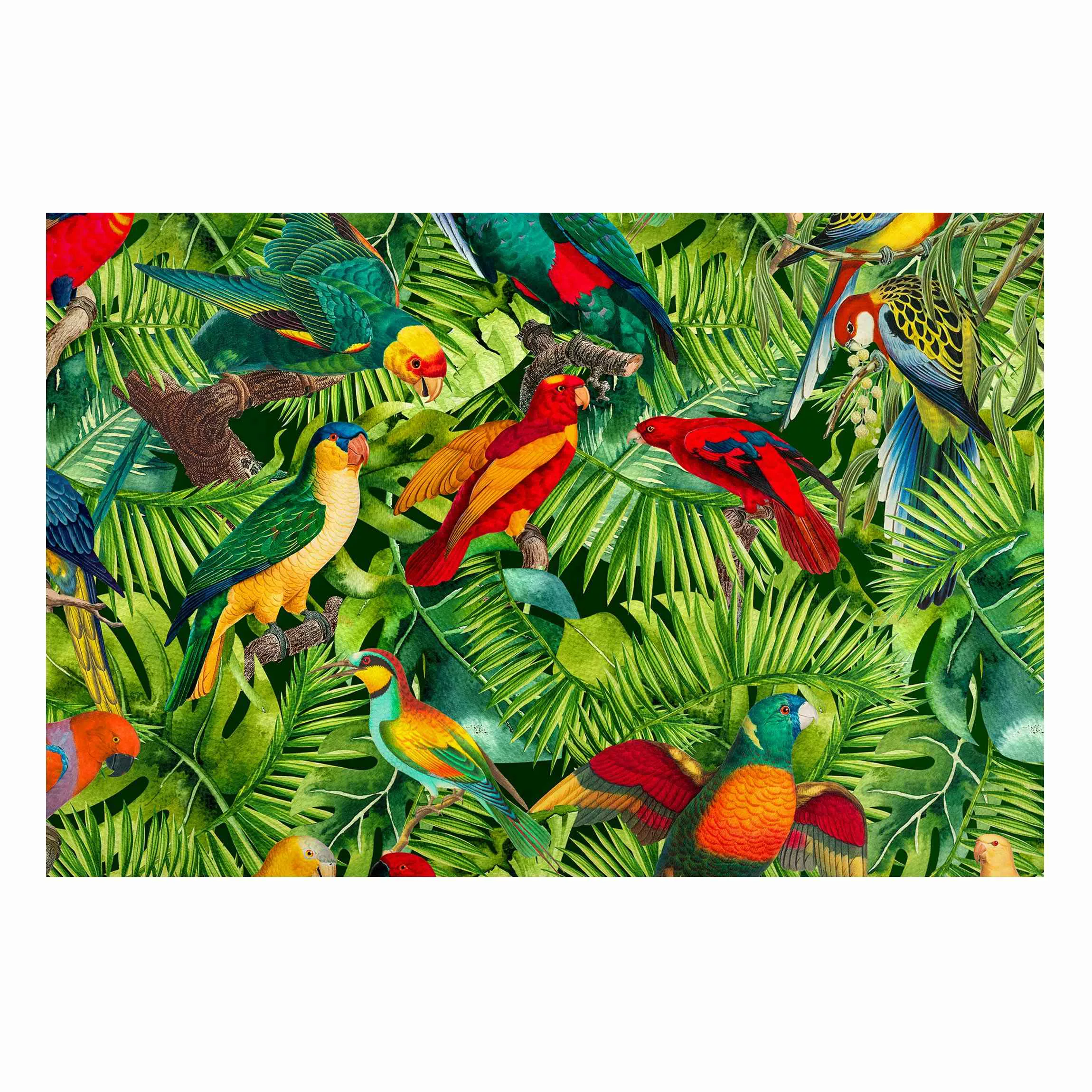 Magnettafel Bunte Collage - Papageien im Dschungel günstig online kaufen