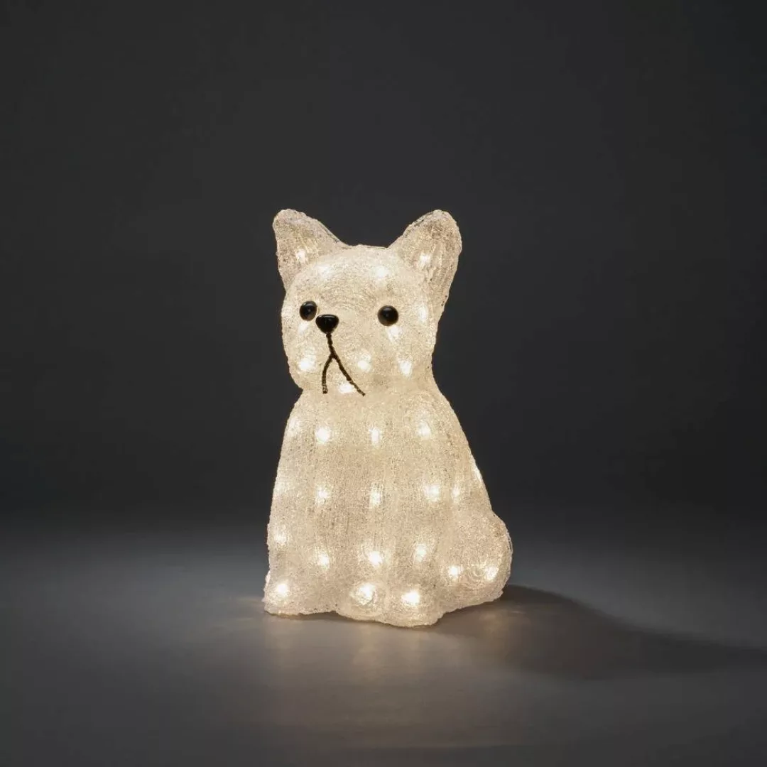 LED Figur Hund in Transparent 48x 0,03W 120lm IP44 günstig online kaufen