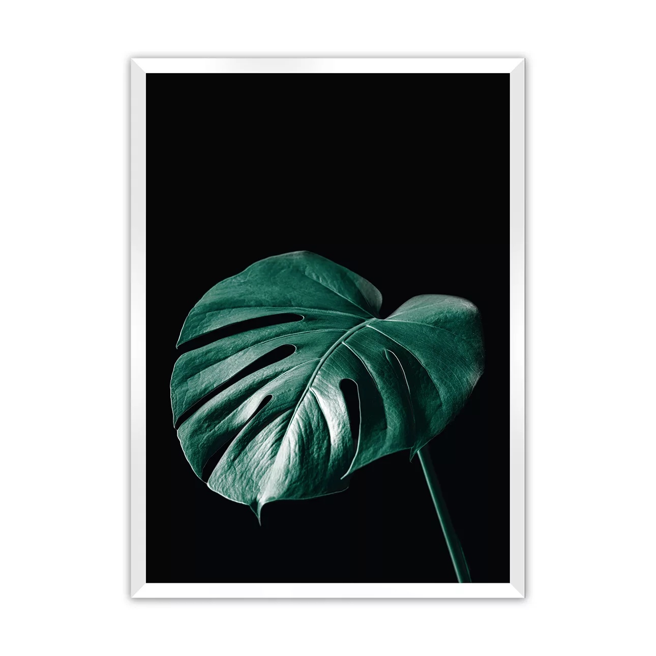 Poster Dark Monstera, 70 x 100 cm, Rahmen wählen: weiss günstig online kaufen