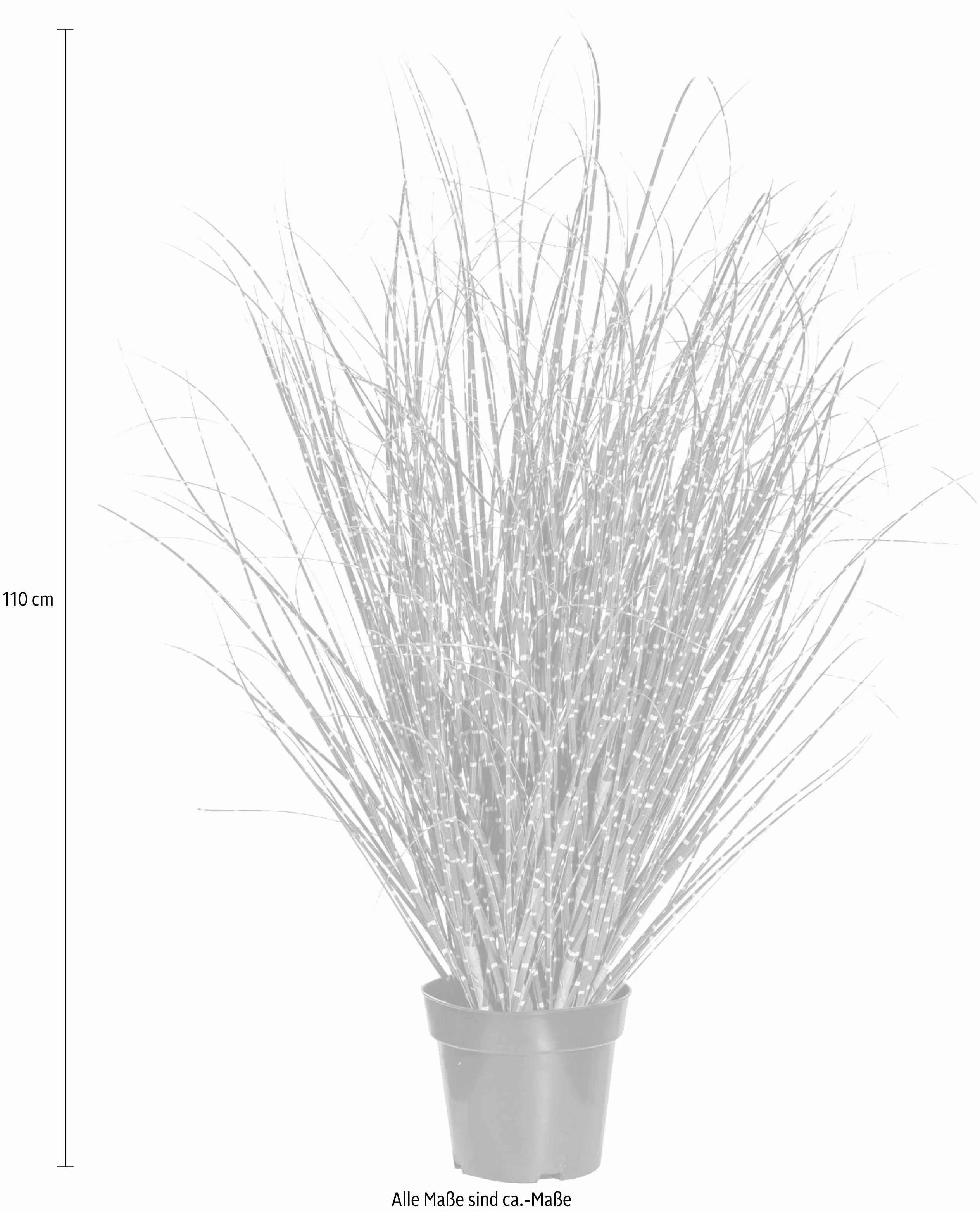 Creativ green Kunstgras "Miscanthus Zebrinus" günstig online kaufen