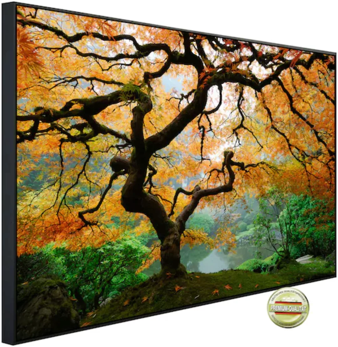 Papermoon Infrarotheizung »Herbst Ahornbaum« günstig online kaufen
