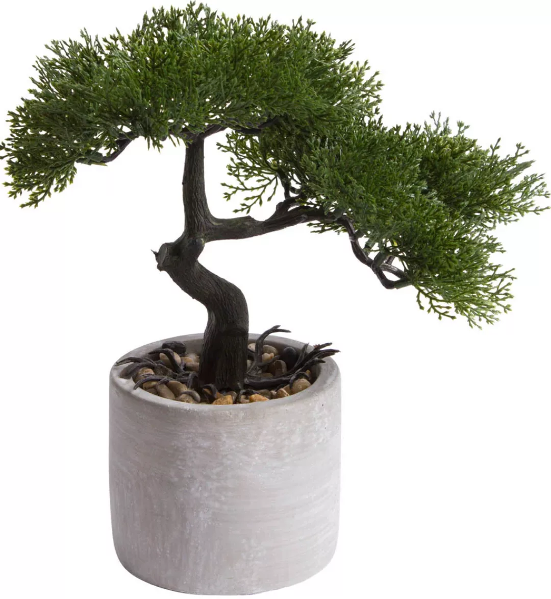 Botanic-Haus Kunstbonsai "Ceder Bonsai" günstig online kaufen