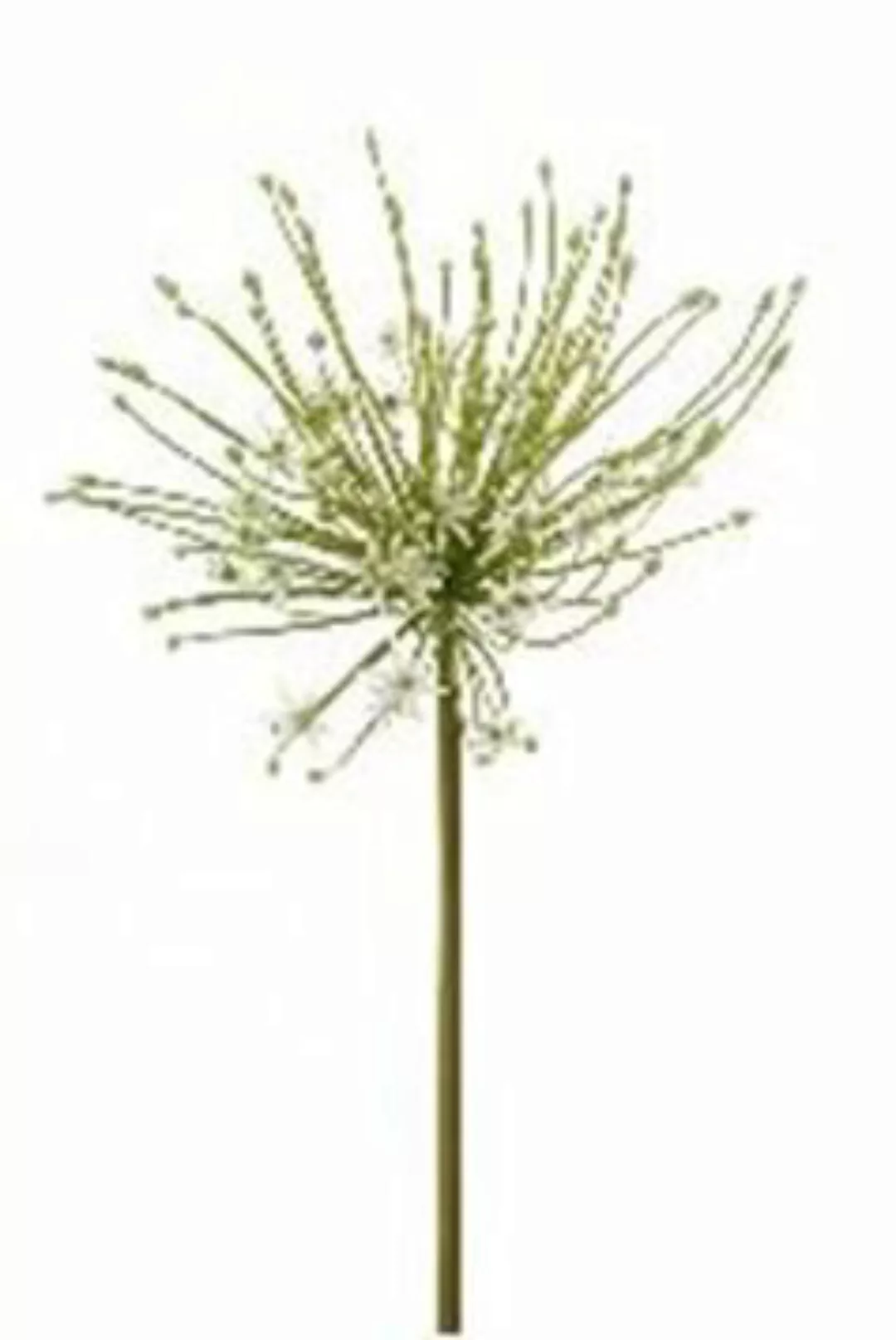 Flower & Style Kunstpflanzen & -blumen Allium Knospen weiss 116 cm (183164) günstig online kaufen