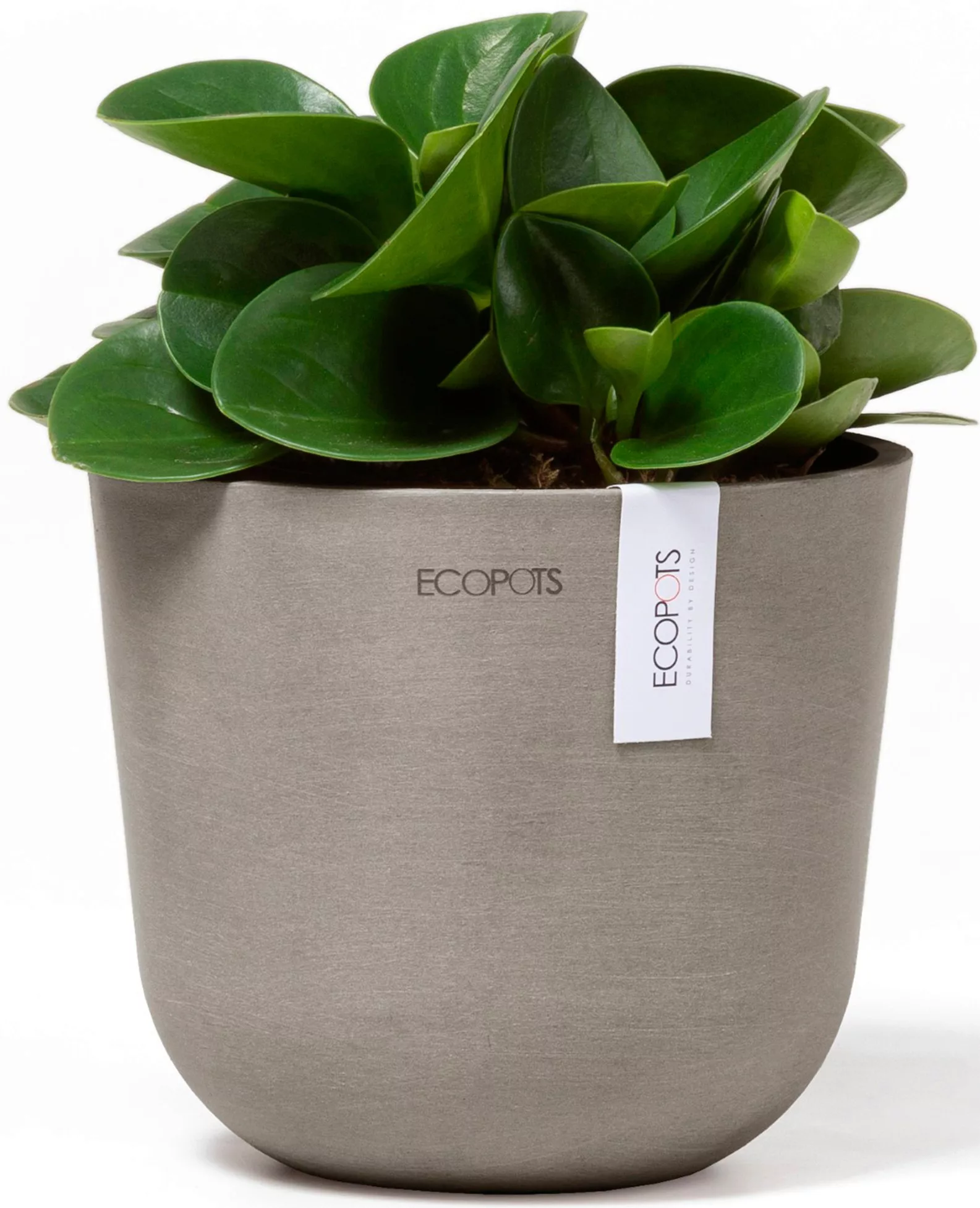 ECOPOTS Blumentopf "Oslo Mini 16 Taupe", für den Innenbereich günstig online kaufen