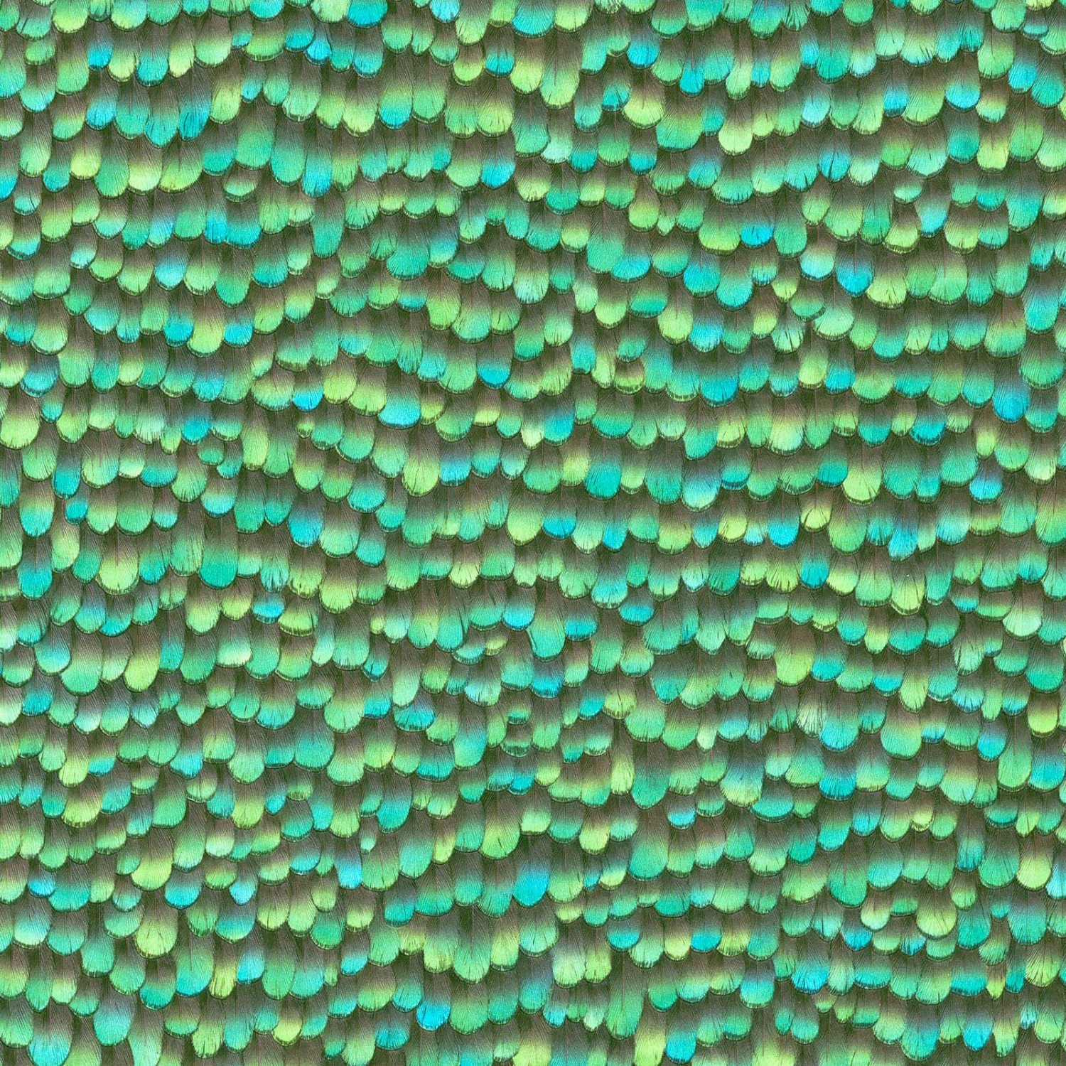 Bricoflor Grüne Tapete mit 3D Illusion Ausgefallene Vliestapete in Grün Tür günstig online kaufen