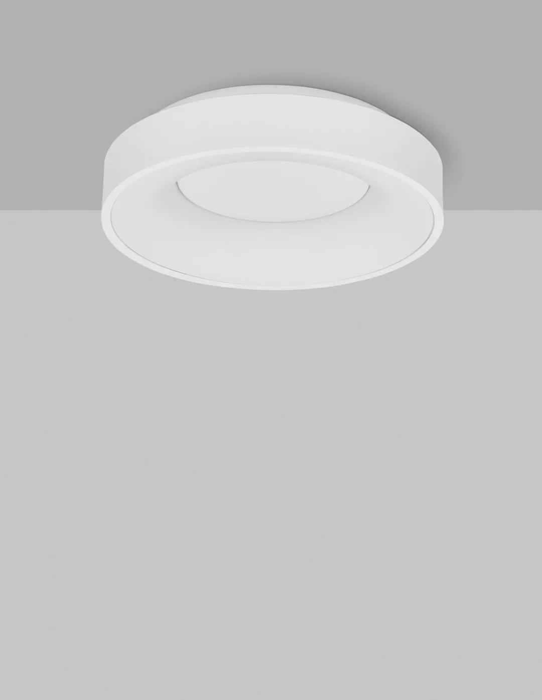 Nova Luce LED Deckenleuchte »RANDO THIN«, 1 flammig, Leuchtmittel LED-Modul günstig online kaufen
