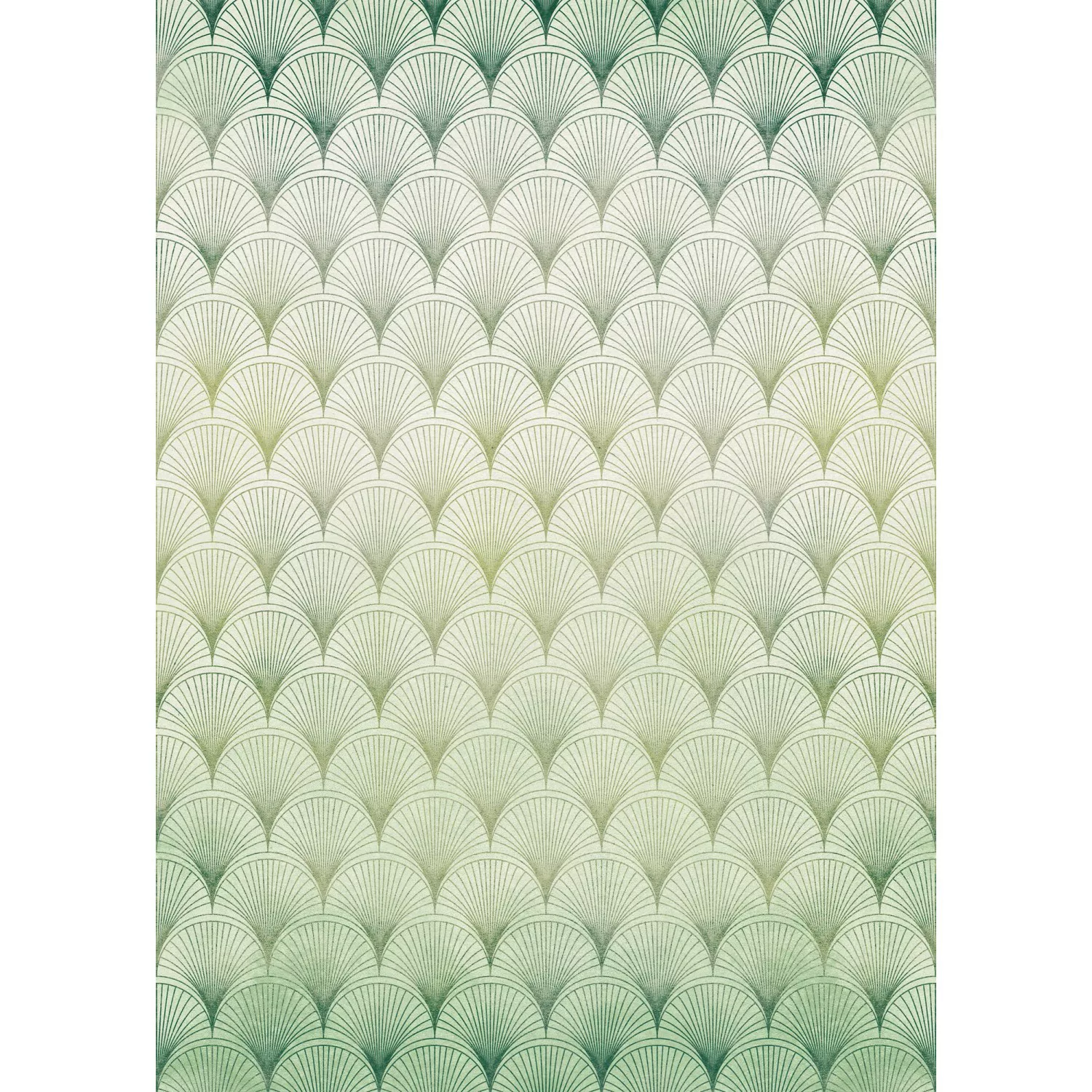 KOMAR Vlies Fototapete - Écailles - Größe 200 x 280 cm mehrfarbig günstig online kaufen