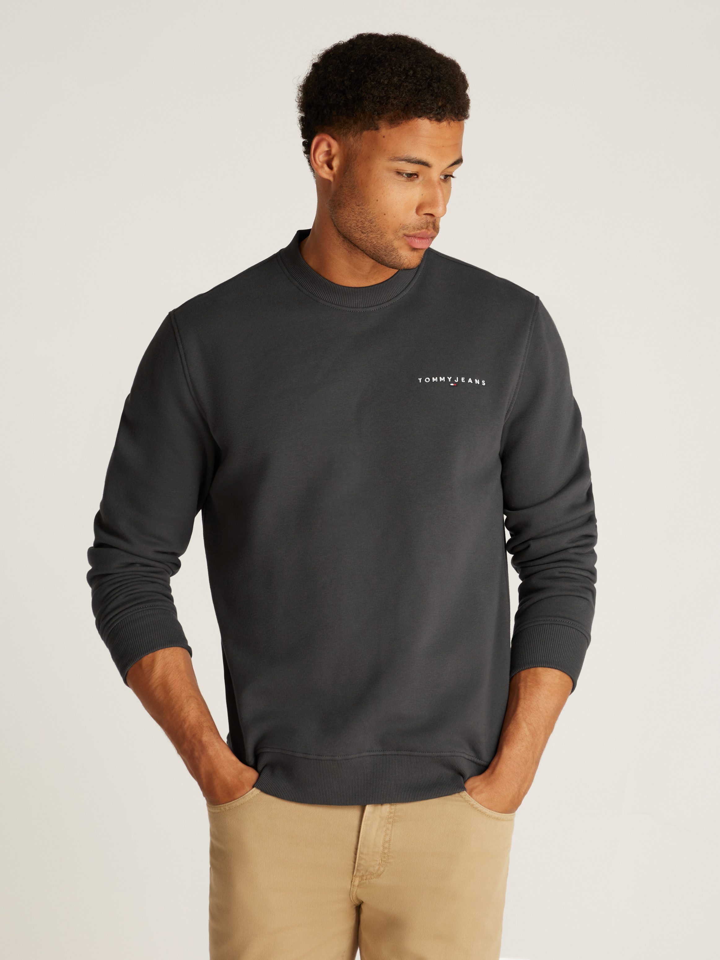 Tommy Jeans Sweatshirt TJM REG LINEAR günstig online kaufen