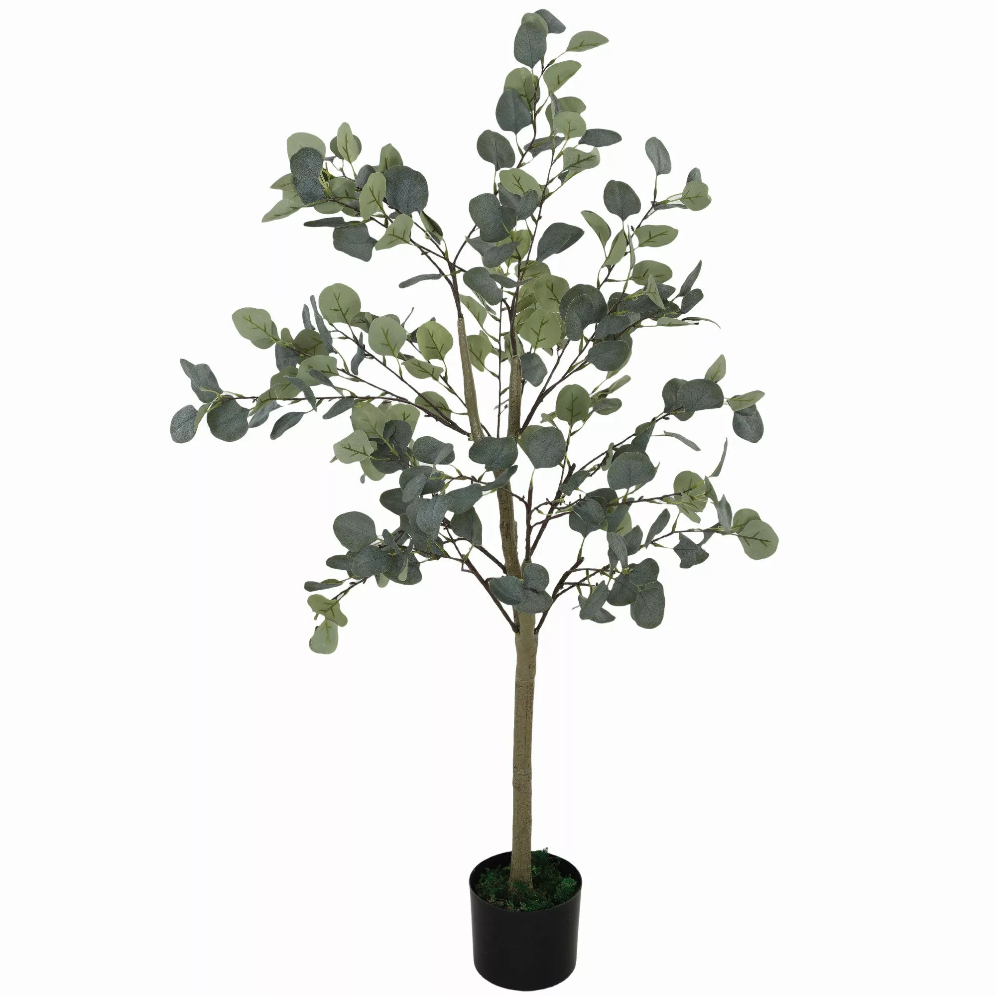 Kunstpflanze Künstlicher Eucalyptus Baum, HOMCOM, Höhe günstig online kaufen