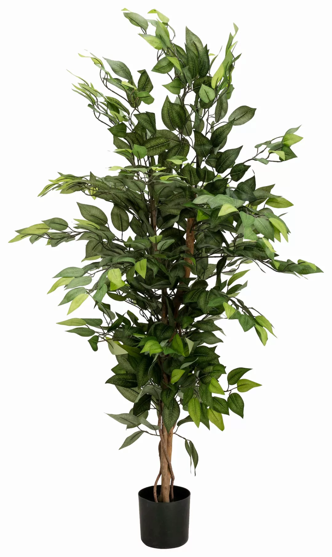 Creativ green Kunstpflanze "Ficus Benjamini" günstig online kaufen