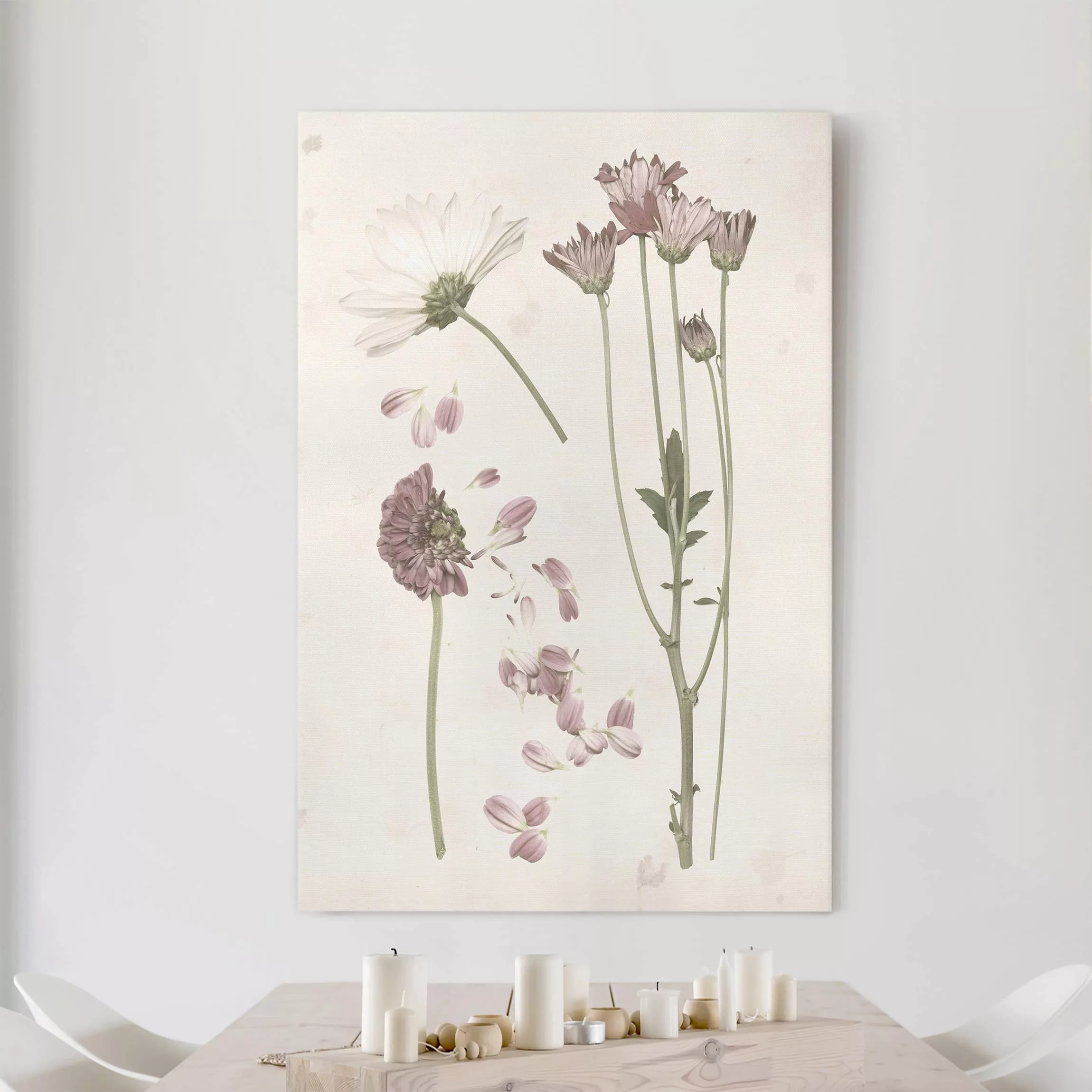 Leinwandbild Botanik - Hochformat Herbarium in rosa II günstig online kaufen