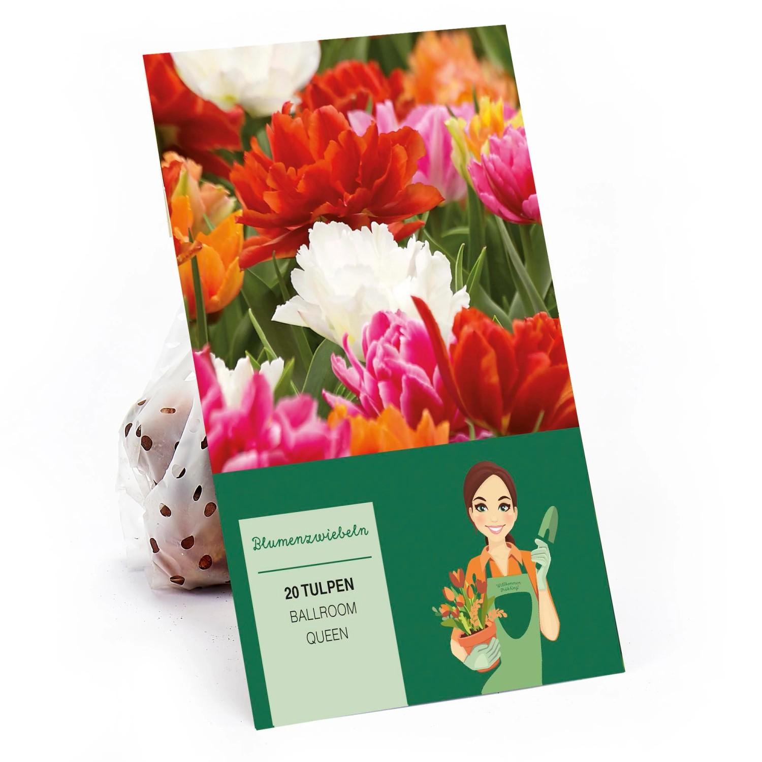 Tulipa Ballroom Queen Mischung 20 Stück Tulipa double early Ballroom Queen günstig online kaufen