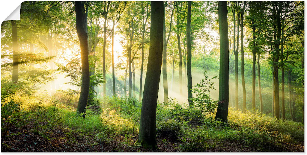 Artland Wandbild "Herbst im Wald II", Waldbilder, (1 St.), als Alubild, Out günstig online kaufen