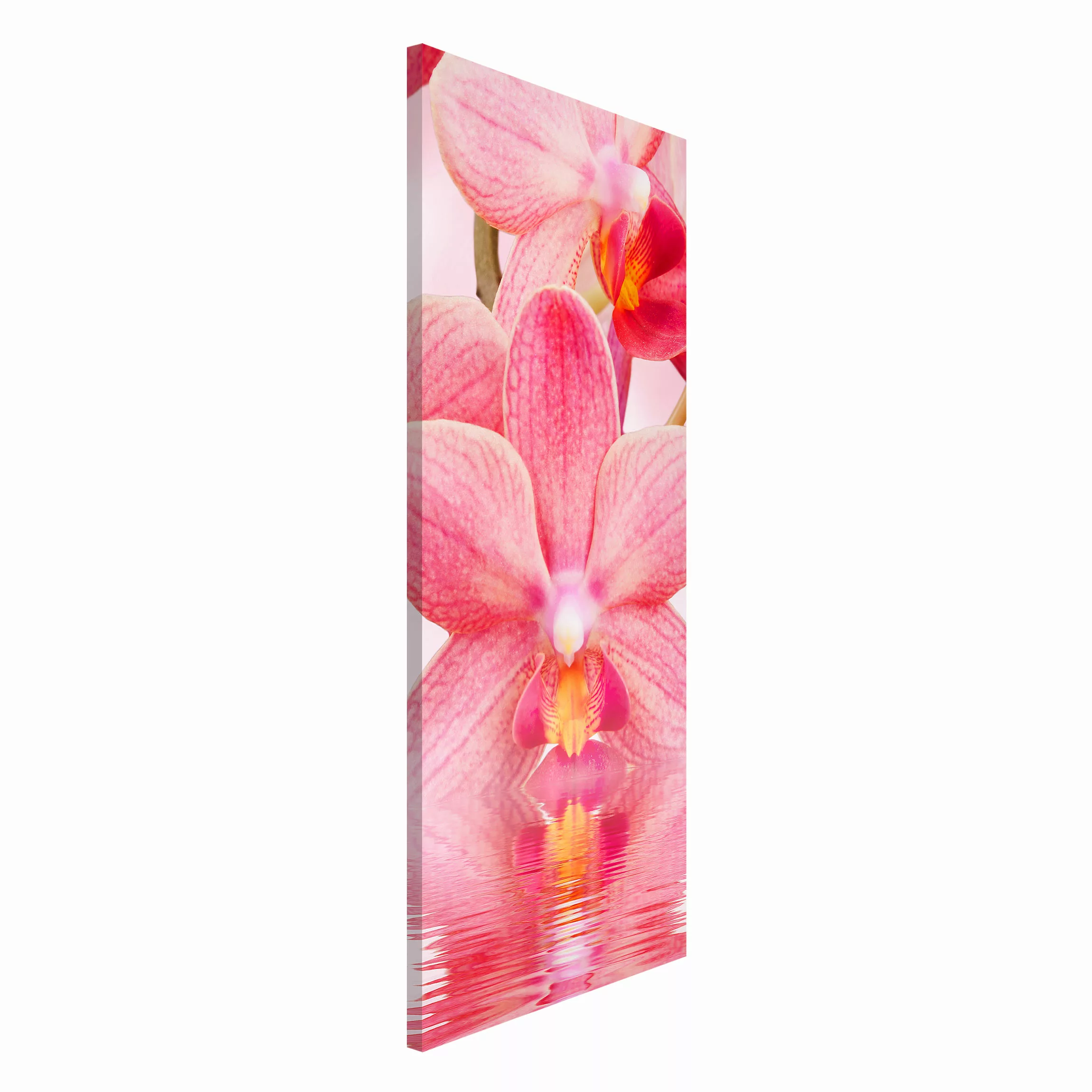 Magnettafel Blumen - Hochformat 1:2 Rosa Orchideen auf Wasser günstig online kaufen