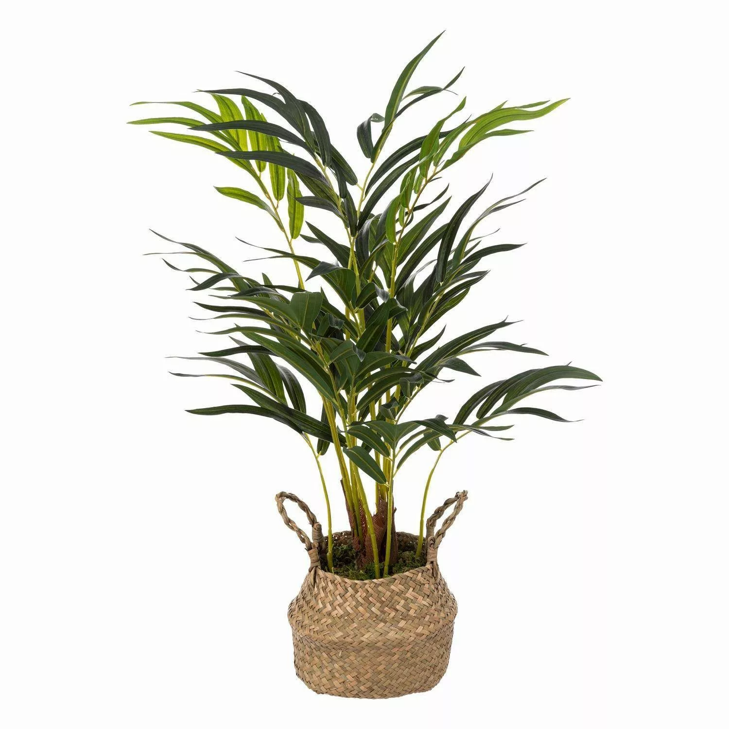 Kunstpflanze Zimmerpflanze, Atmosphera Créateur d'intérieur, Höhe günstig online kaufen