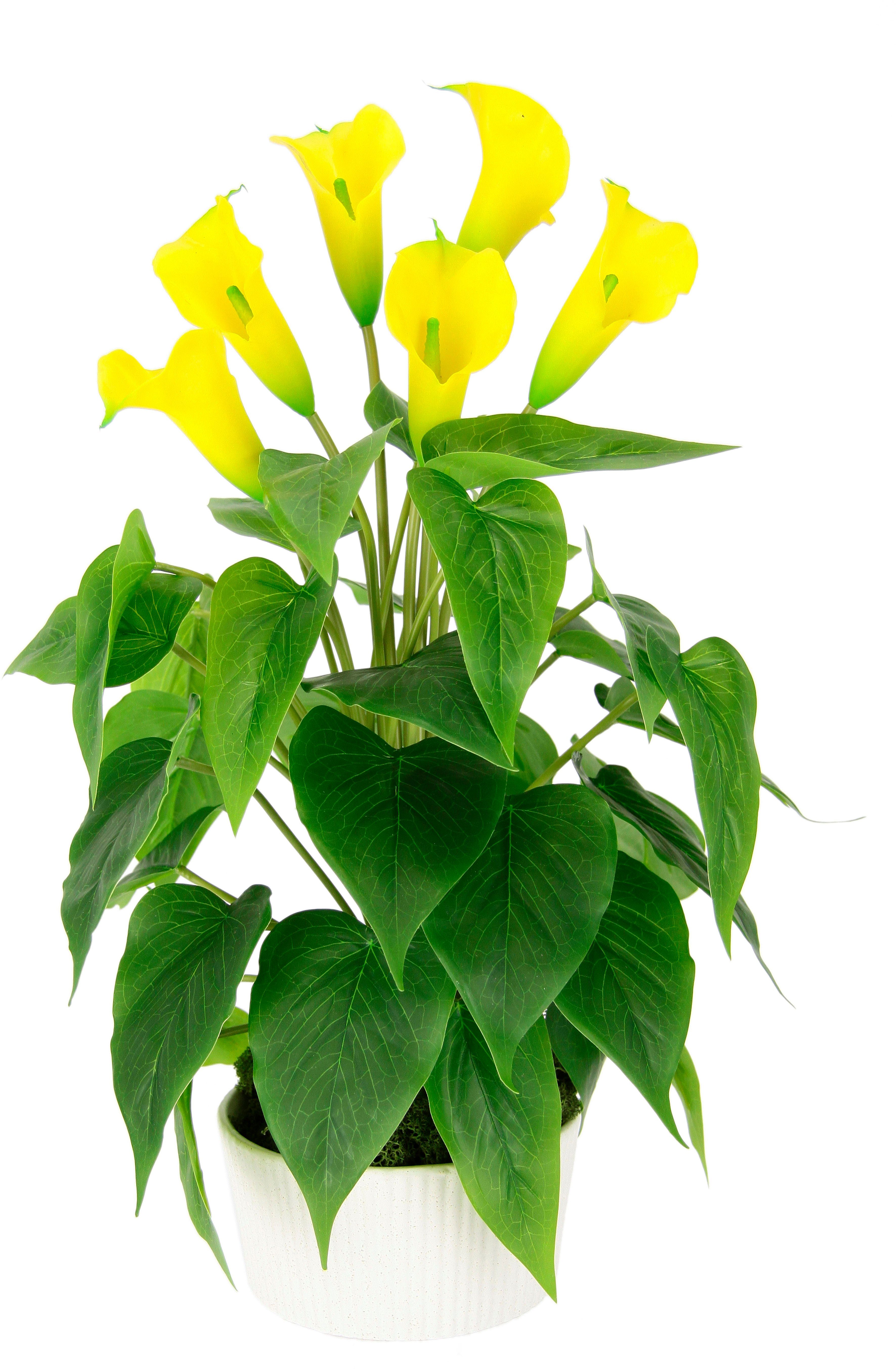 I.GE.A. Kunstblume "Calla", Im Topf aus Keramik Kunstpflanze Künstliche Blu günstig online kaufen