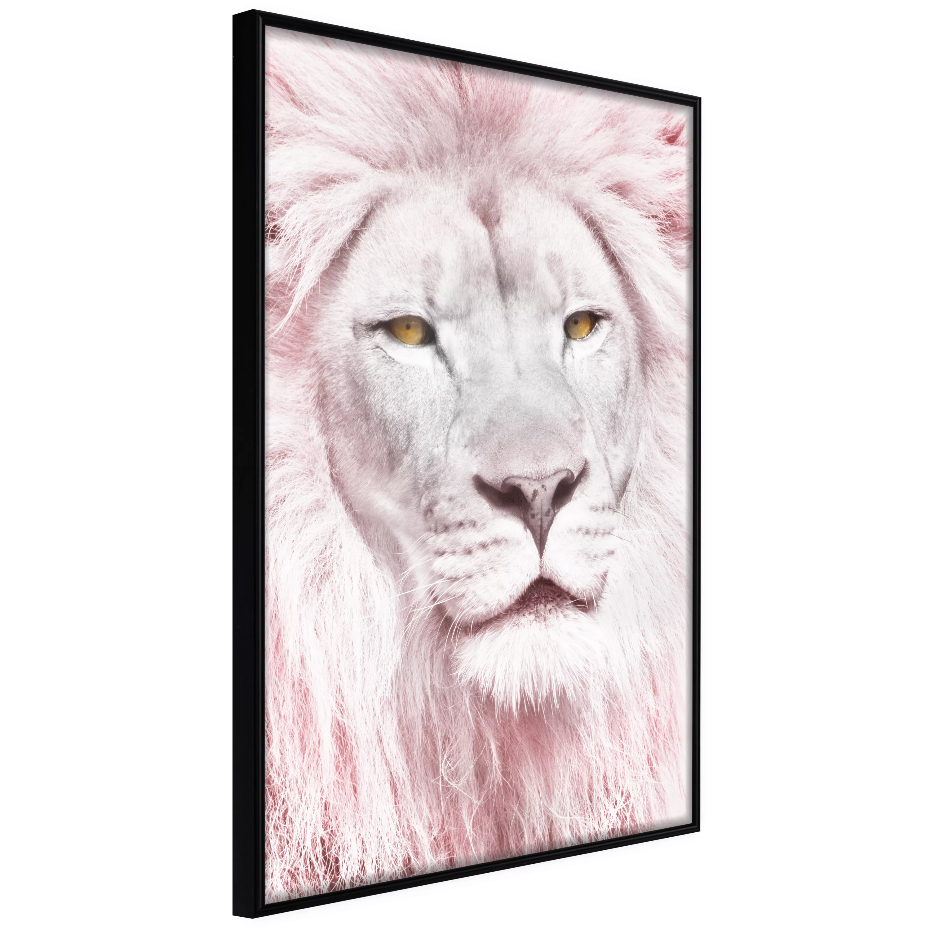 Poster - Dreamy Lion günstig online kaufen