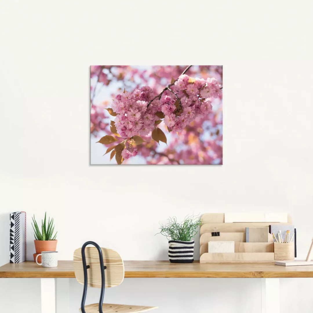 Artland Glasbild »Japanische Kirschblüte in Love I«, Blumen, (1 St.), in ve günstig online kaufen