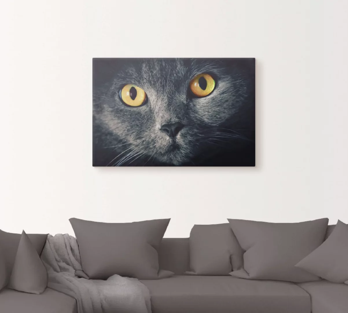 Artland Wandbild "Katzenaugen", Haustiere, (1 St.) günstig online kaufen