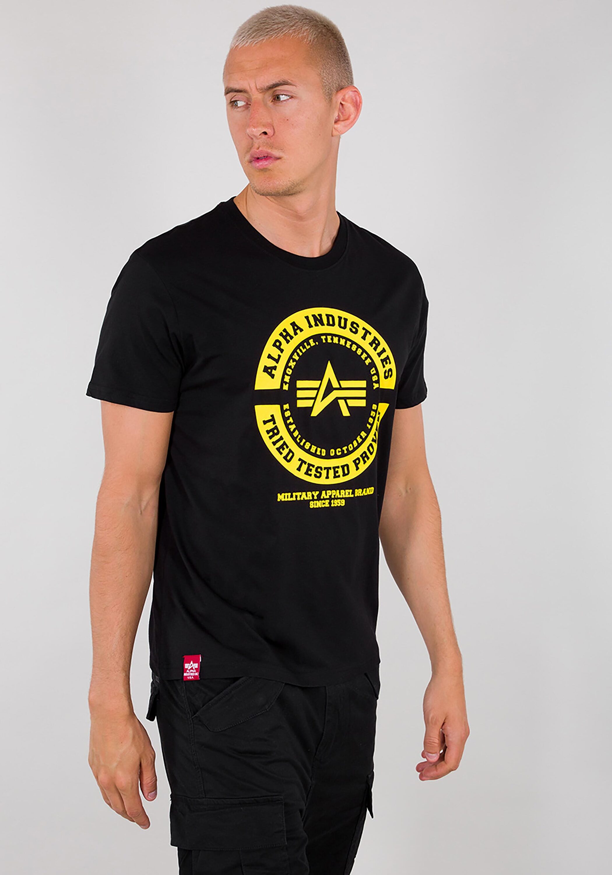 Alpha Industries T-Shirt "Alpha Industries Men - T-Shirts TTP T-Shirt" günstig online kaufen