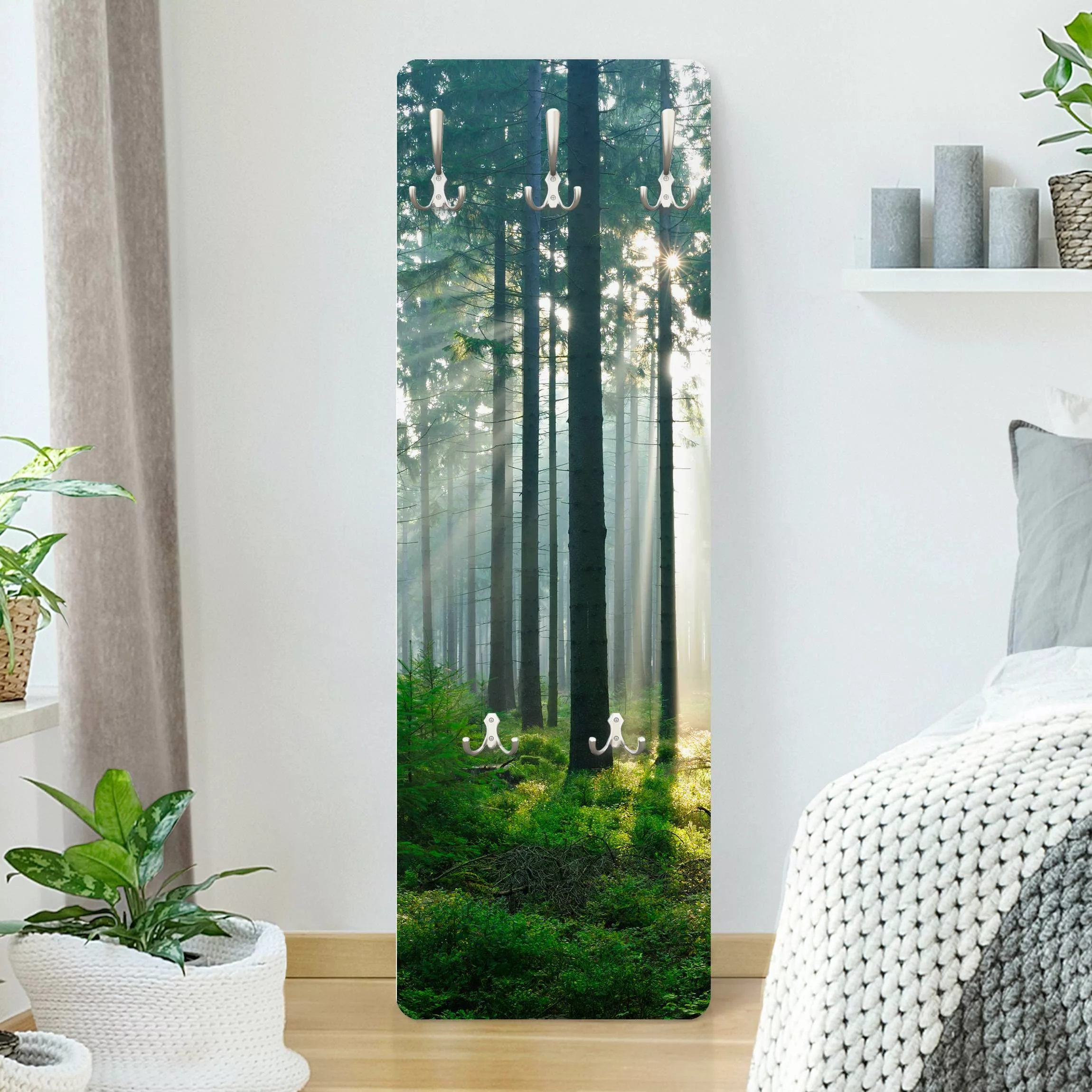 Wandgarderobe Holzpaneel Natur & Landschaft Enlightened Forest günstig online kaufen