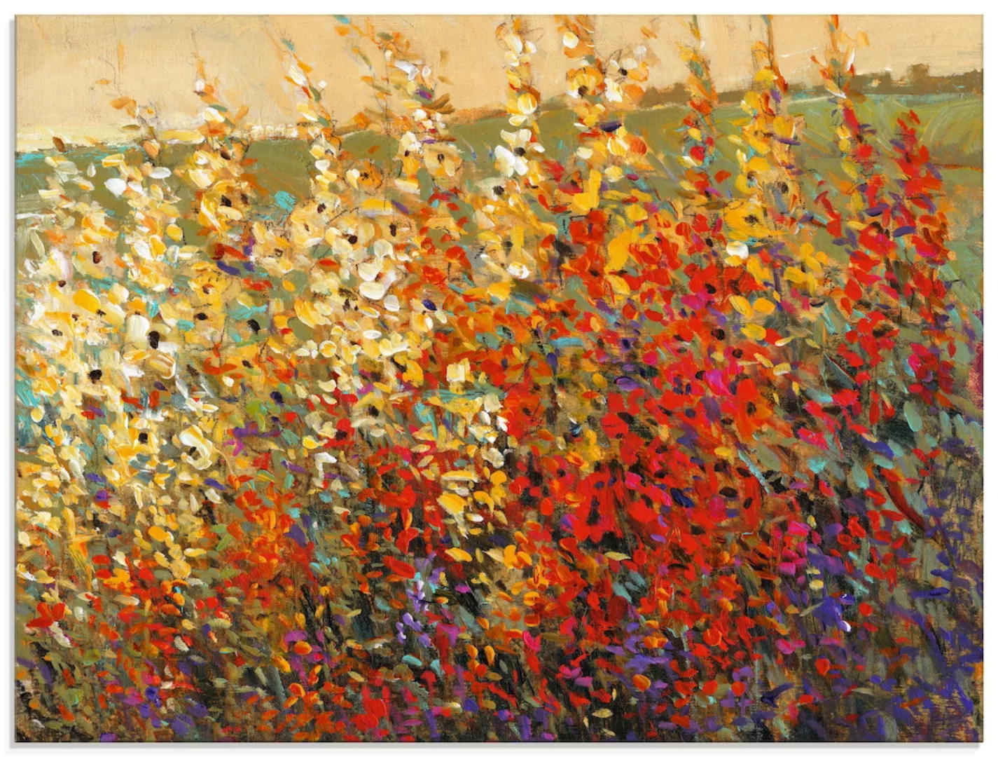 Artland Glasbild "Feld mit Herbstblumen I", Blumenwiese, (1 St.) günstig online kaufen