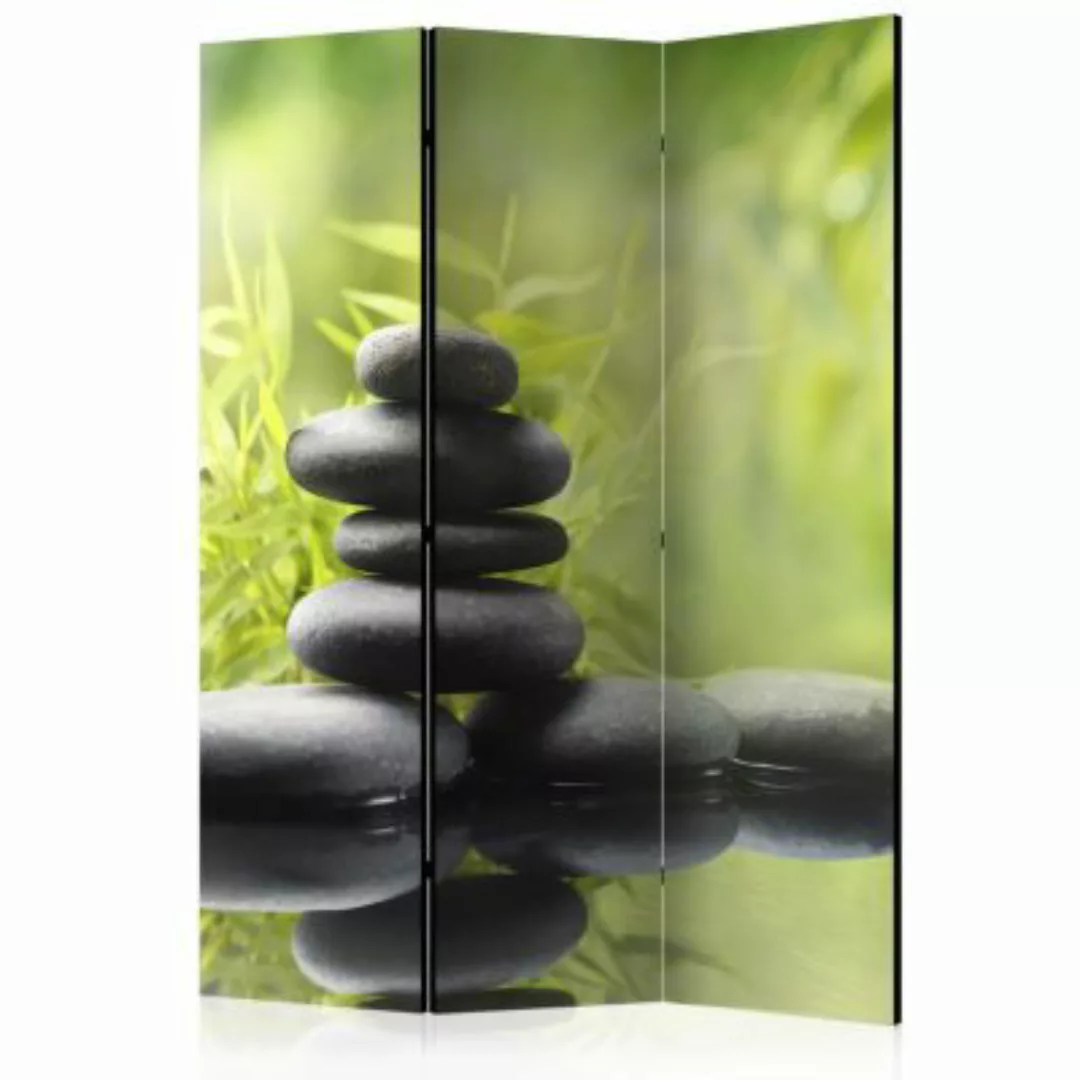 artgeist Paravent Serenity of nature [Room Dividers] grau/grün Gr. 135 x 17 günstig online kaufen