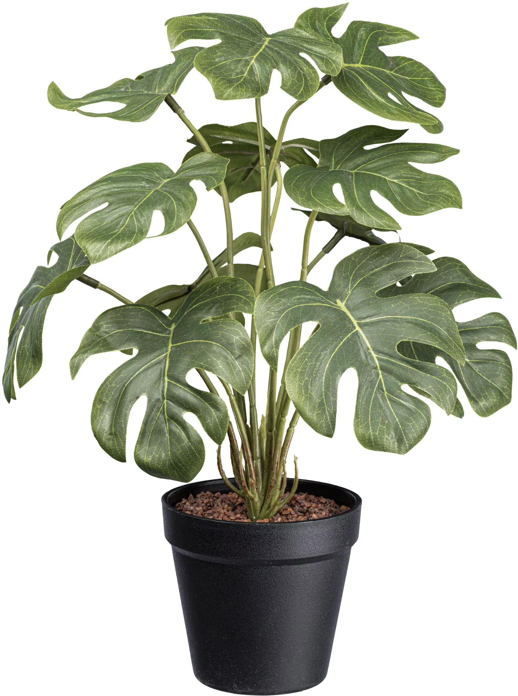 Creativ green Künstliche Zimmerpflanze "Splitphilodendron", mit schönen Blä günstig online kaufen