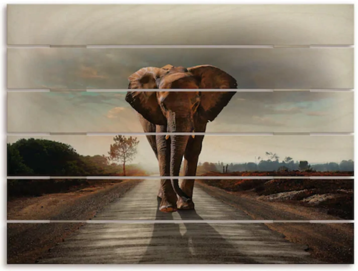 Artland Holzbild "Ein Elefant läuft auf der Straße", Elefanten Bilder, (1 S günstig online kaufen