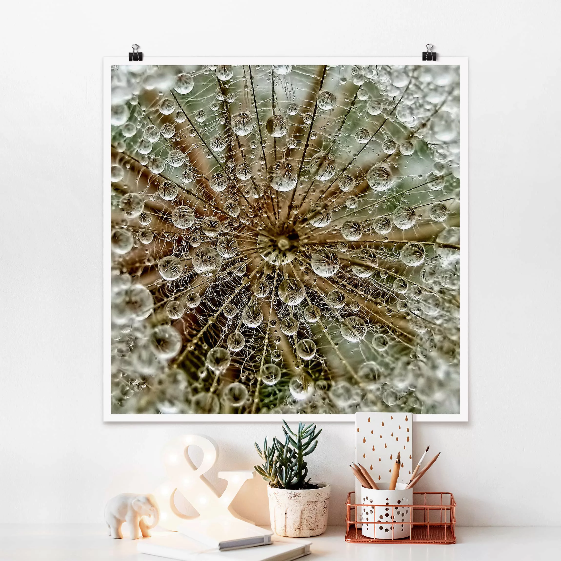 Poster Blumen - Quadrat Pusteblume im Herbst günstig online kaufen