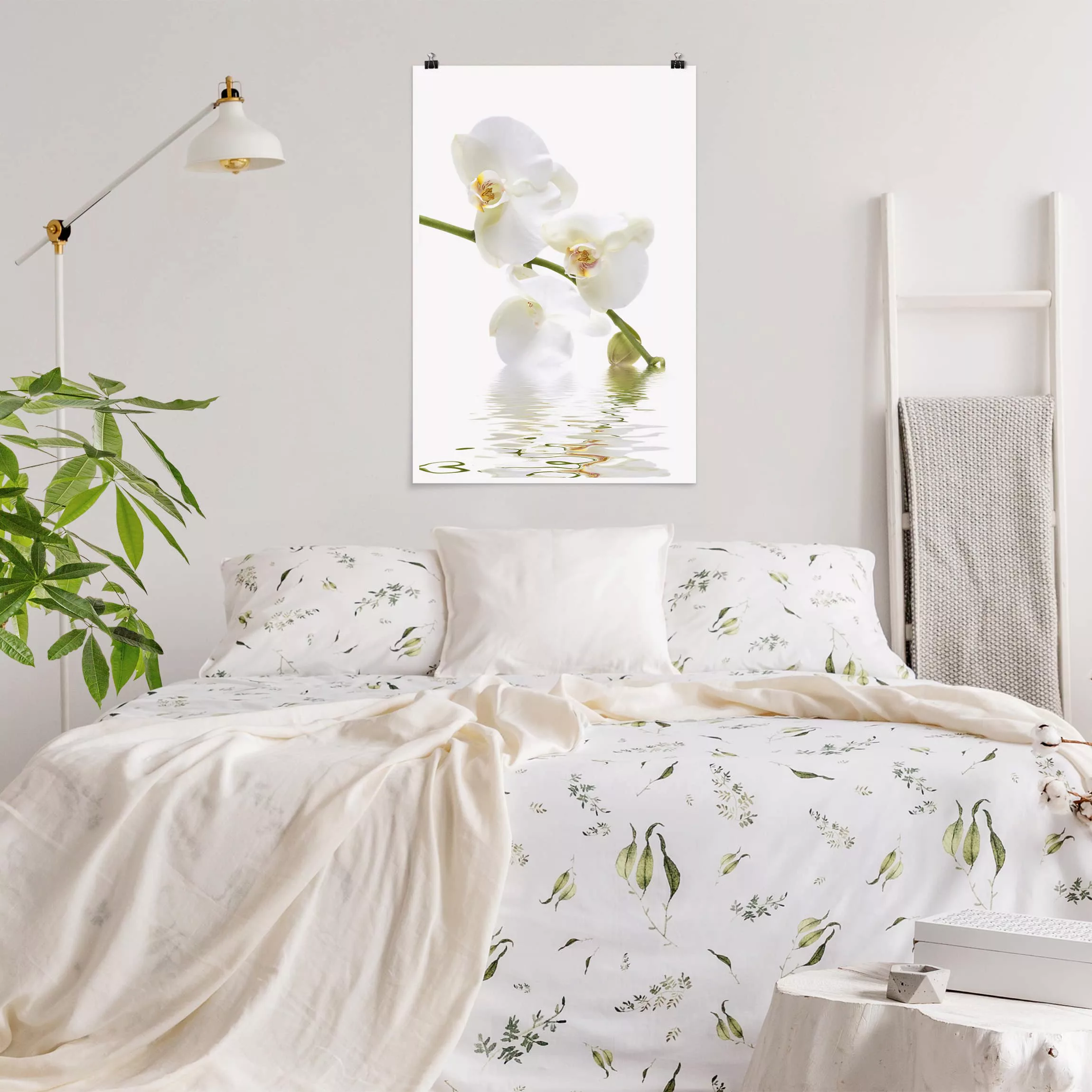 Poster Blumen - Hochformat White Orchid Waters günstig online kaufen