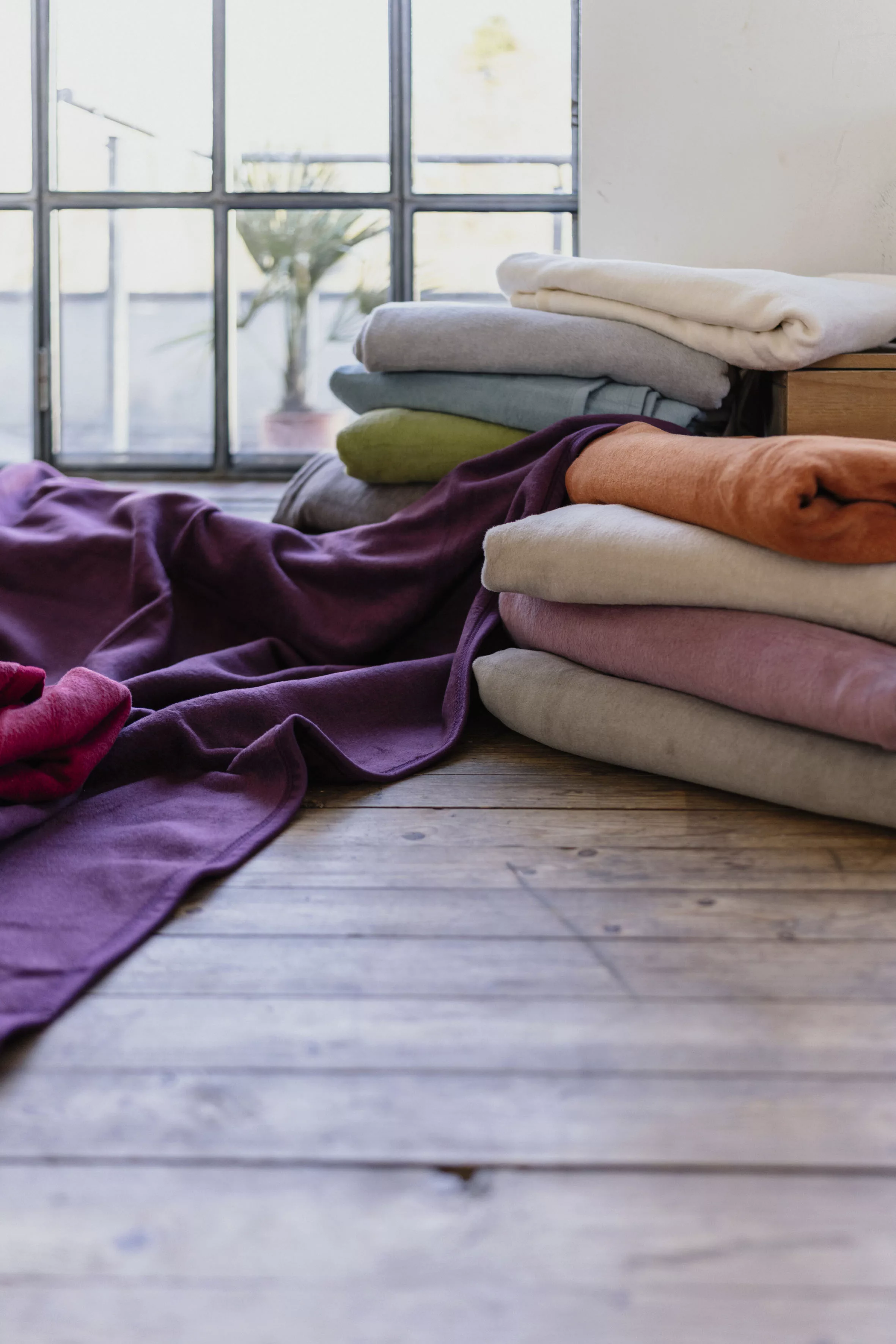 IBENA Wohndecke »Luxus«, verschiedene Größen, unifarbenes Design, Kuschelde günstig online kaufen