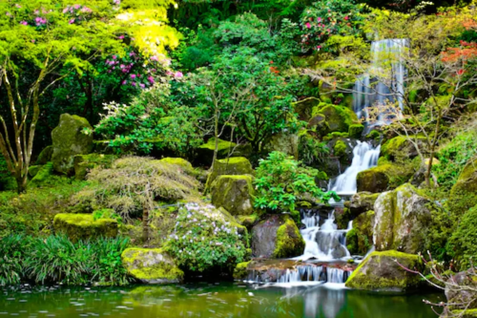 Papermoon Fototapete »Garden Pond« günstig online kaufen