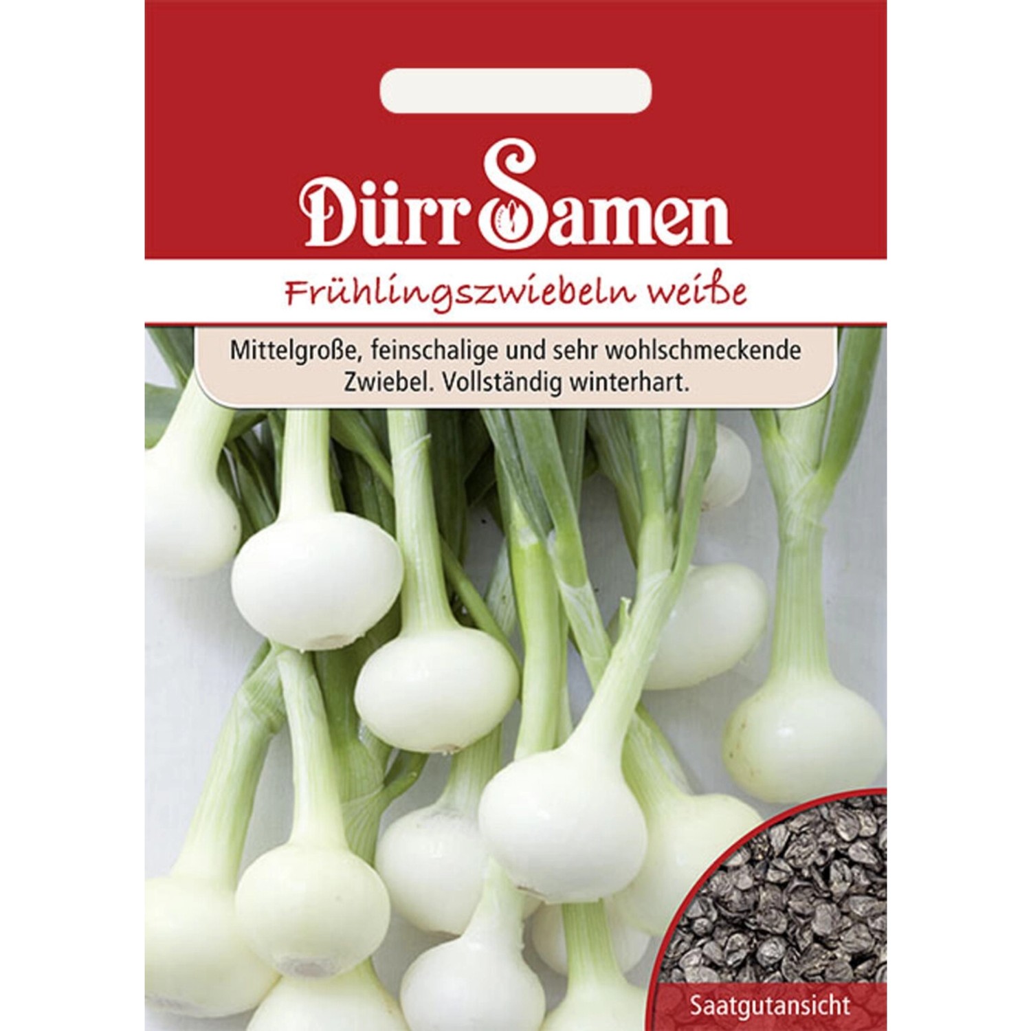 Dürr Samen Frühlingszwiebeln Vaugirard Weiße Saatgut günstig online kaufen