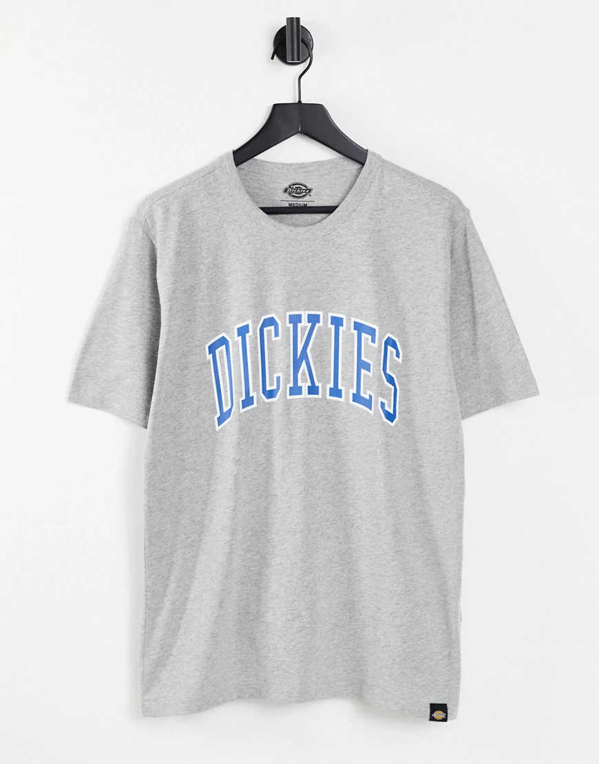 Dickies – Aitkin – T-Shirt in Grau günstig online kaufen