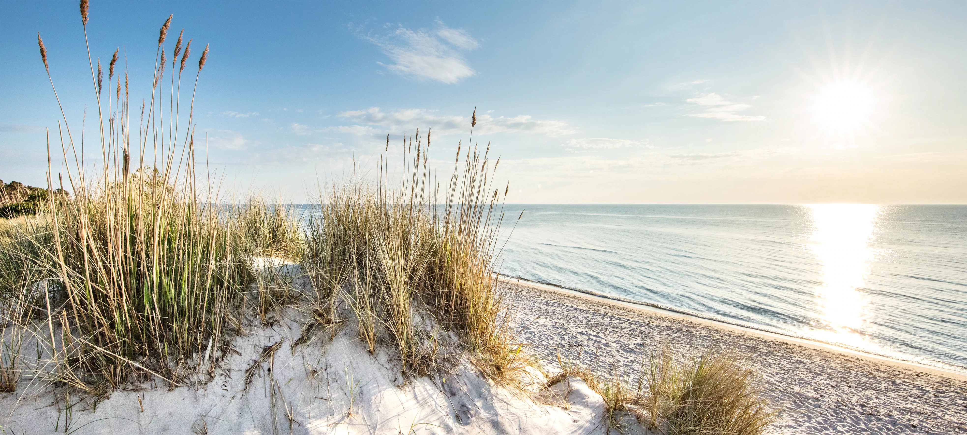 Bönninghoff Leinwandbild, Strand-Düne, (1 St.) günstig online kaufen