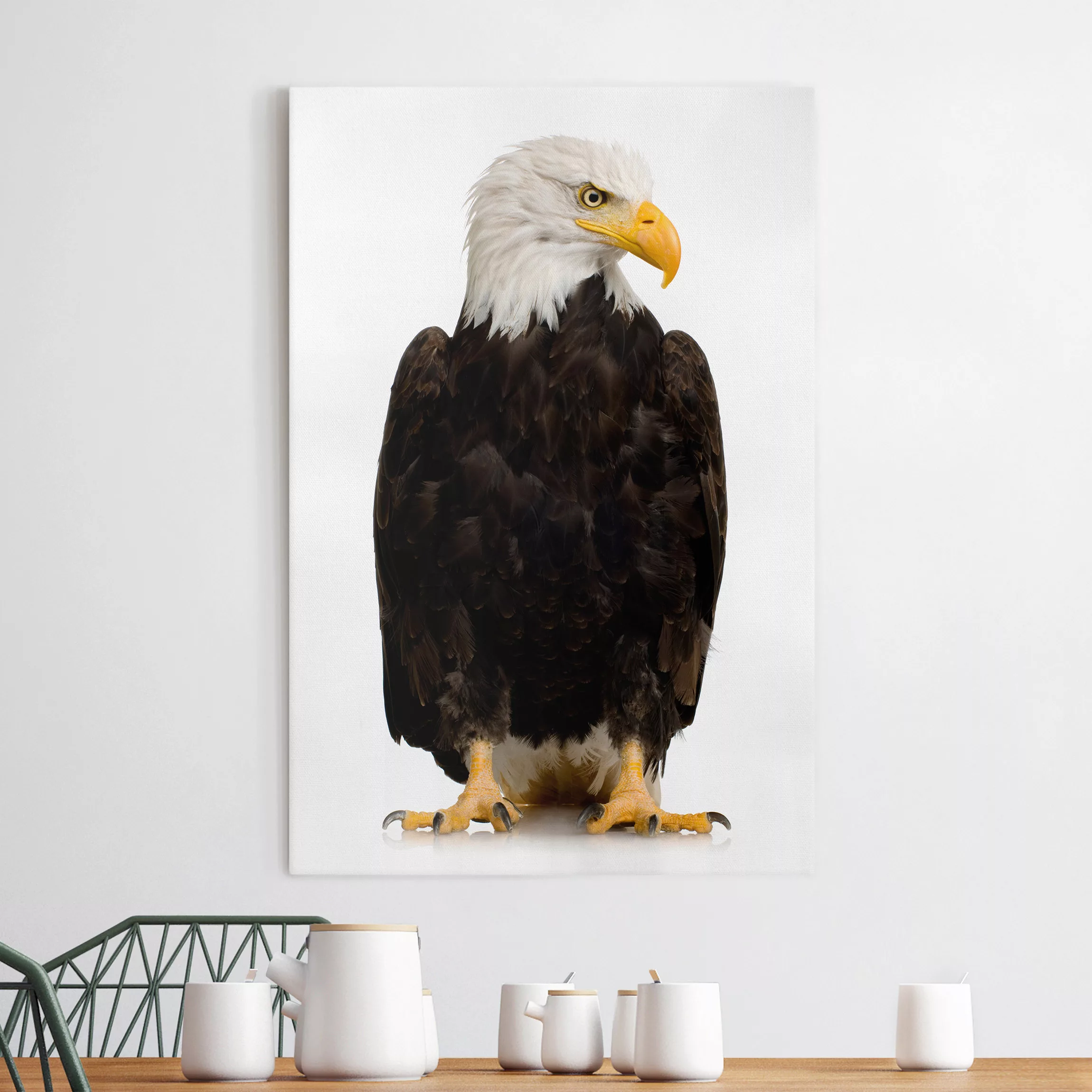 Leinwandbild Tiere - Hochformat Eye of the Eagle günstig online kaufen