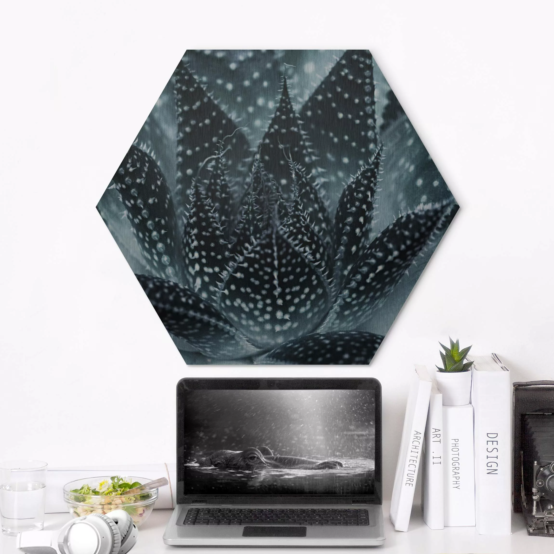 Hexagon-Alu-Dibond Bild Kaktus mit Sternpunkten bei Nacht günstig online kaufen