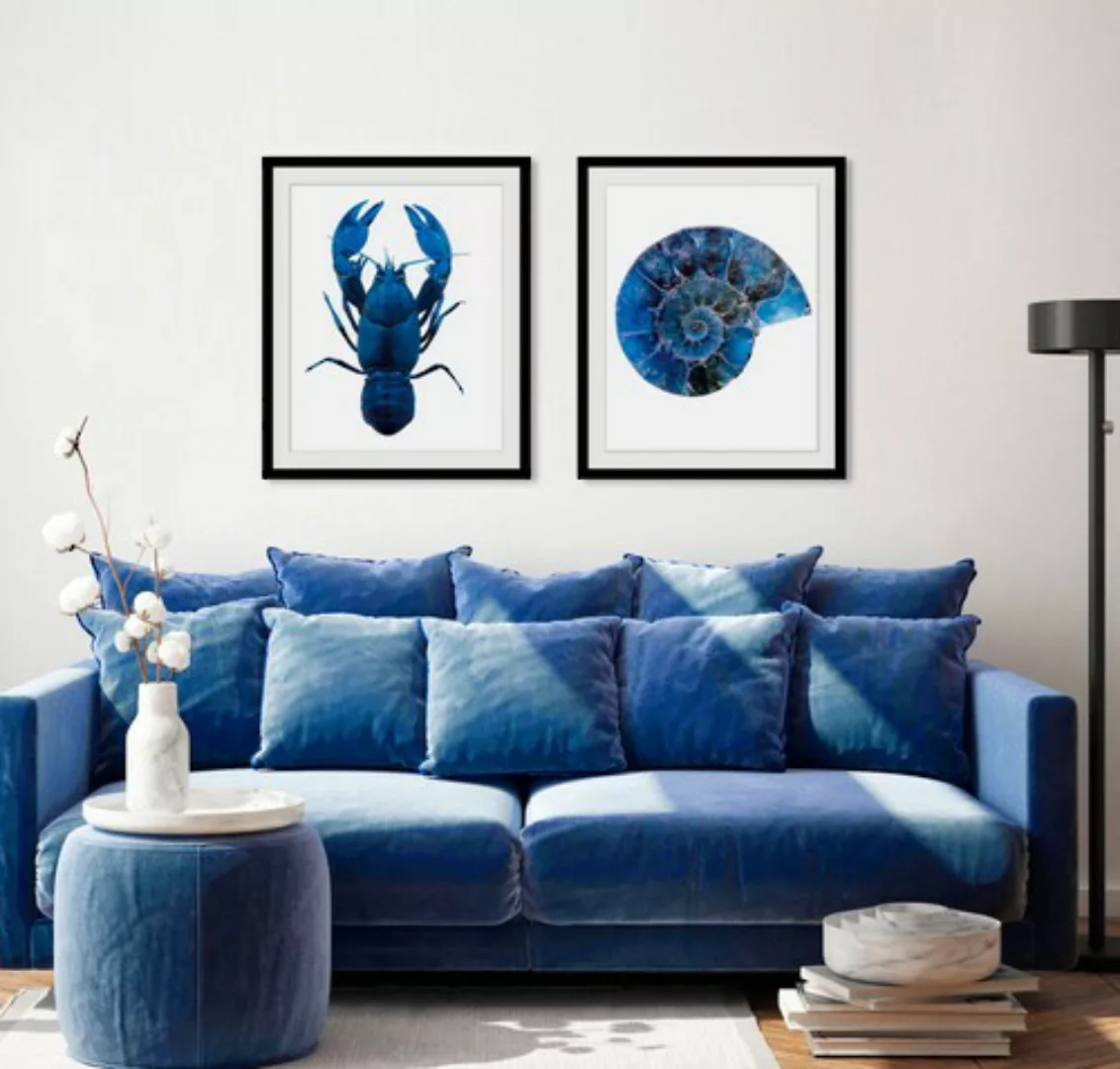 queence Bild »Abel«, Meer-Wassertiere-Kunst, (1 St.), HD Premium Poster-Dru günstig online kaufen