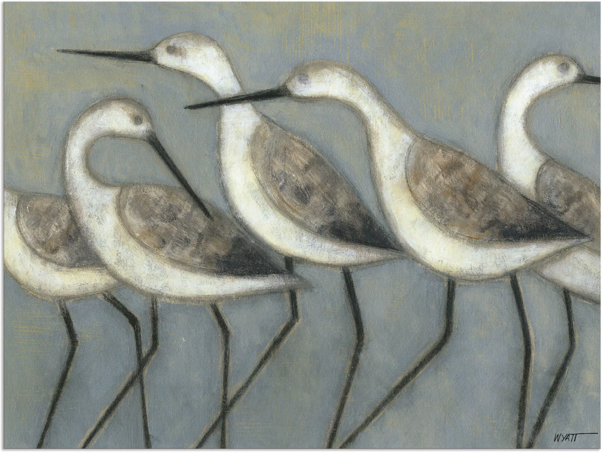 Artland Wandbild "Küstenvögel I", Vögel, (1 St.), als Alubild, Outdoorbild, günstig online kaufen